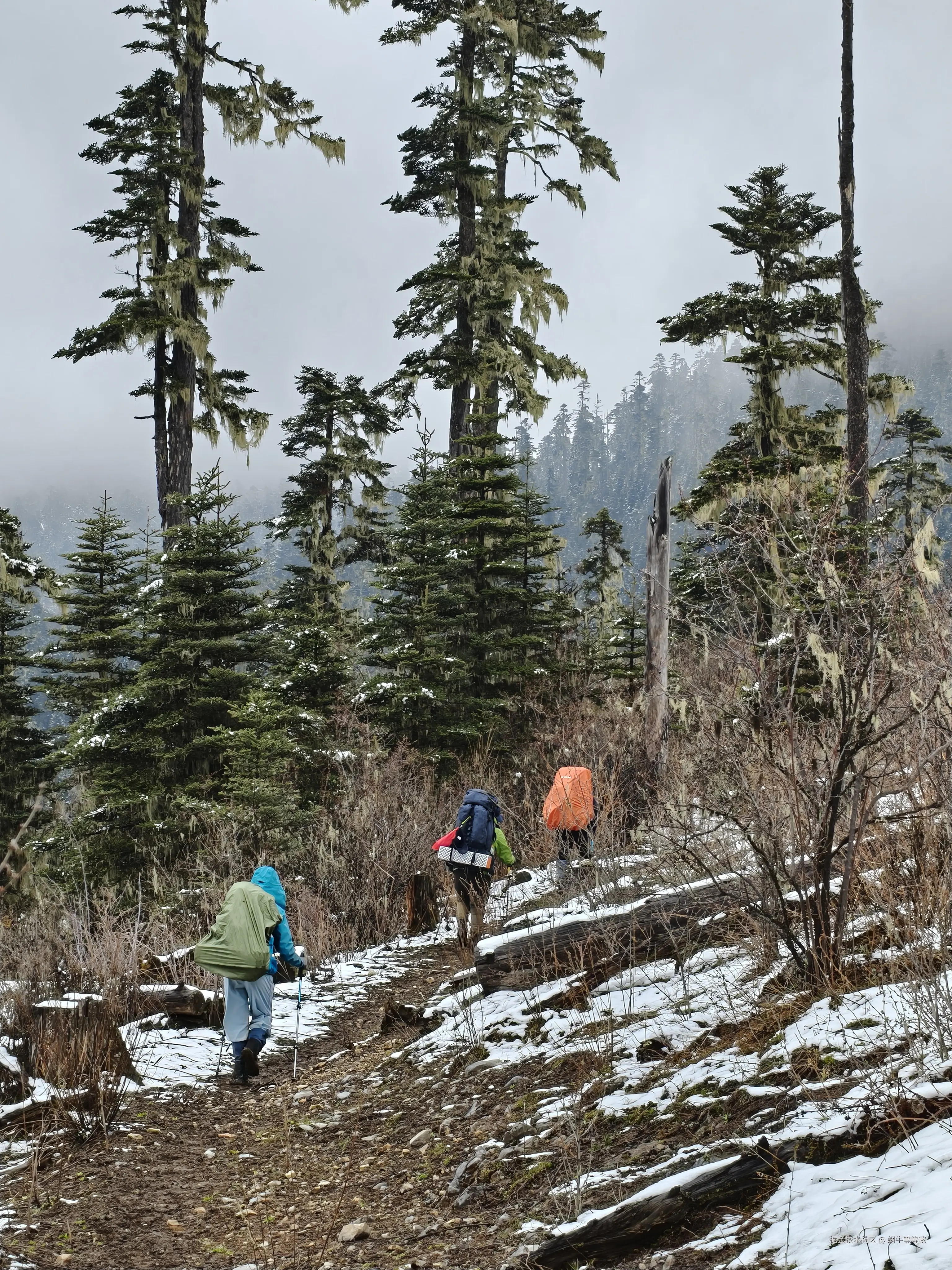 蜗牛等等我于2025-05-29 15:46发布的图片