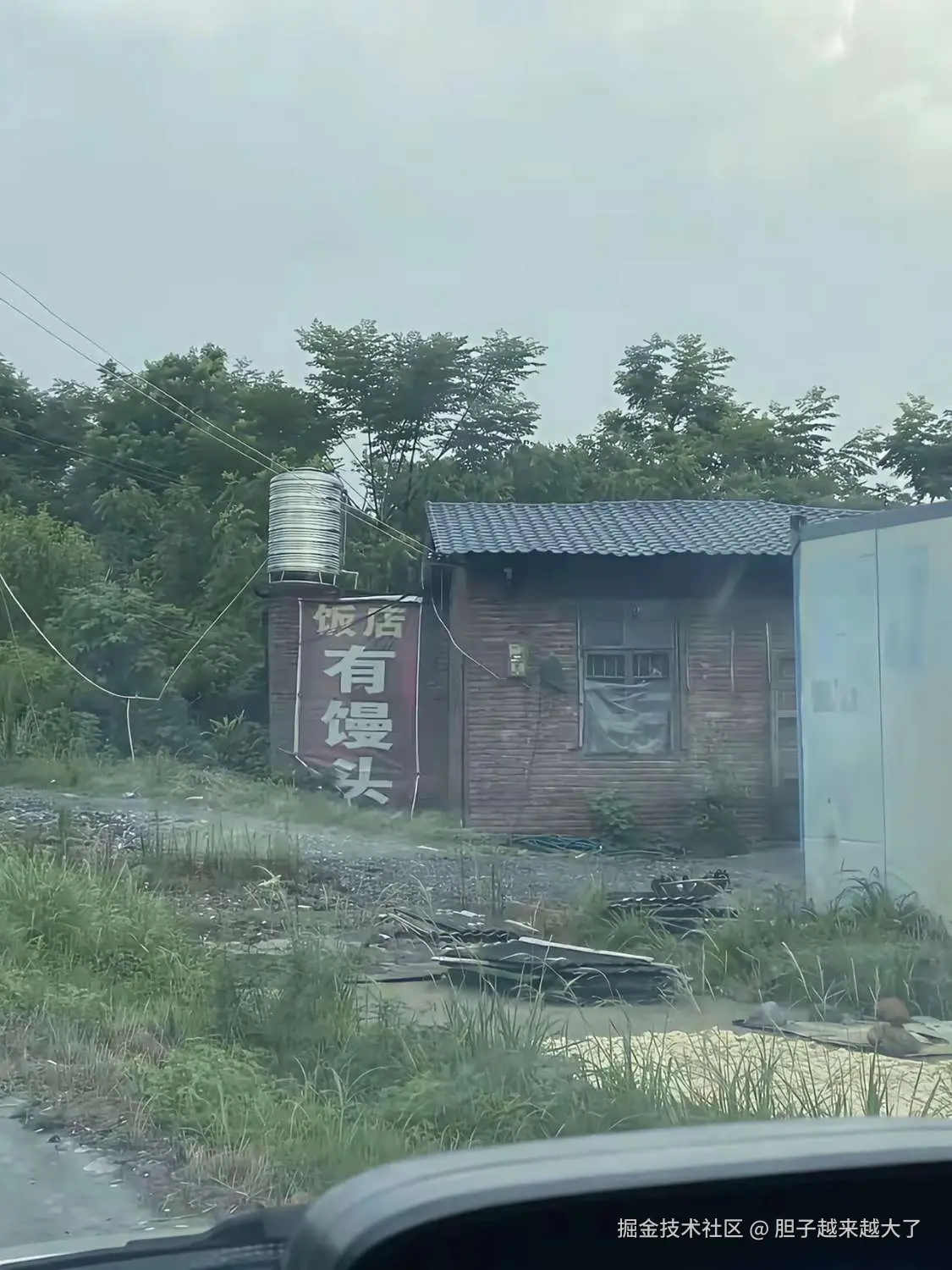 胆子越来越大了于2025-11-06 15:02发布的图片