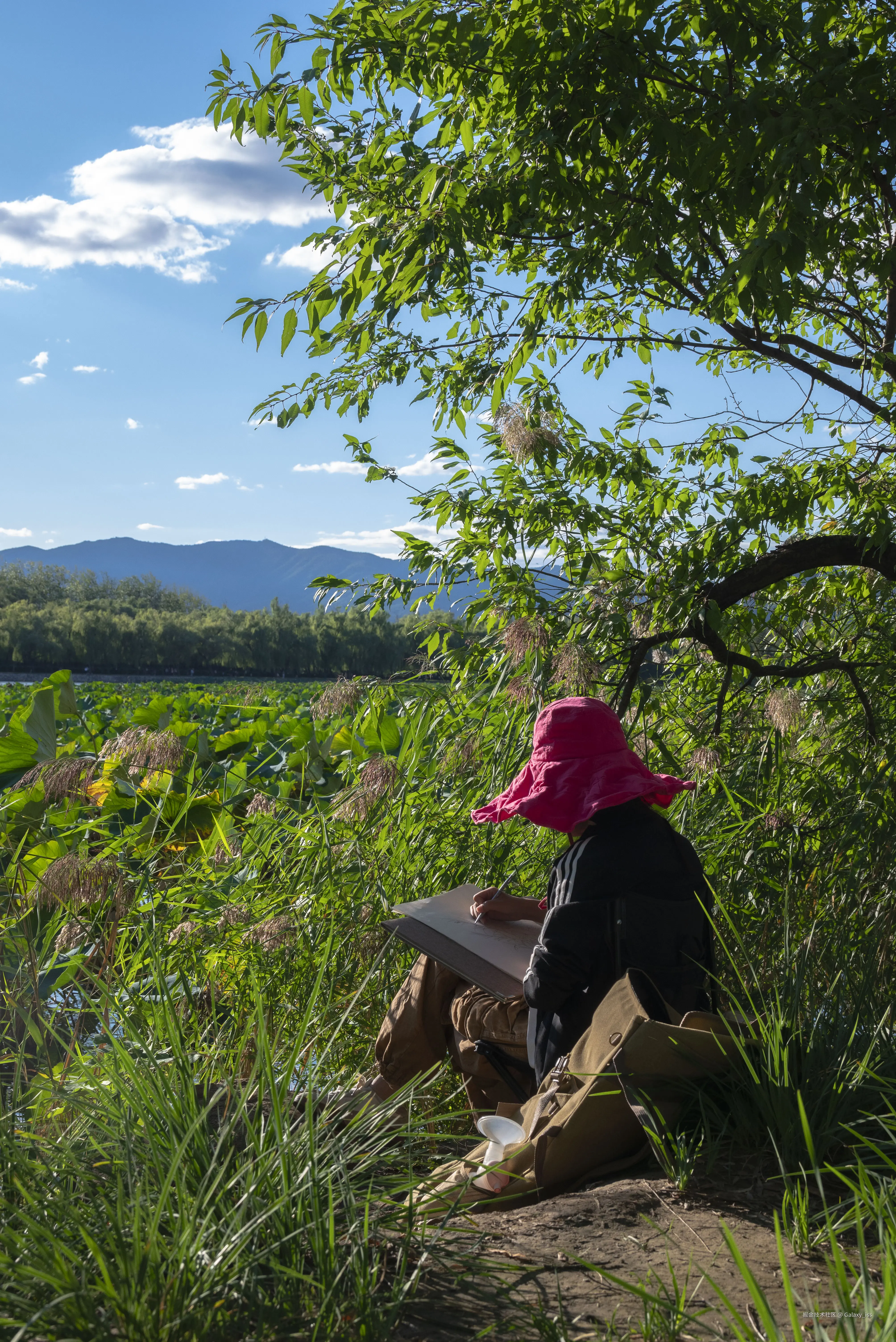 Galaxy_iss于2024-10-30 04:34发布的图片