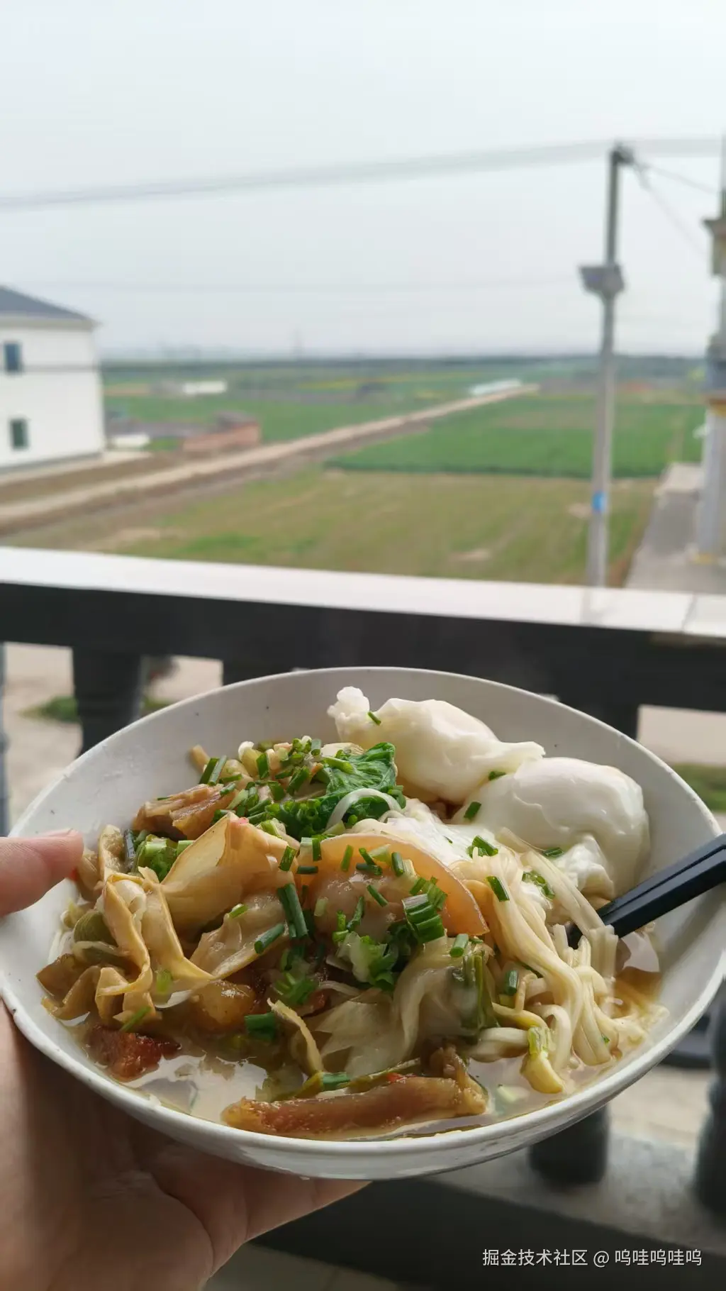 呜哇呜哇呜于2026-02-23 17:24发布的图片