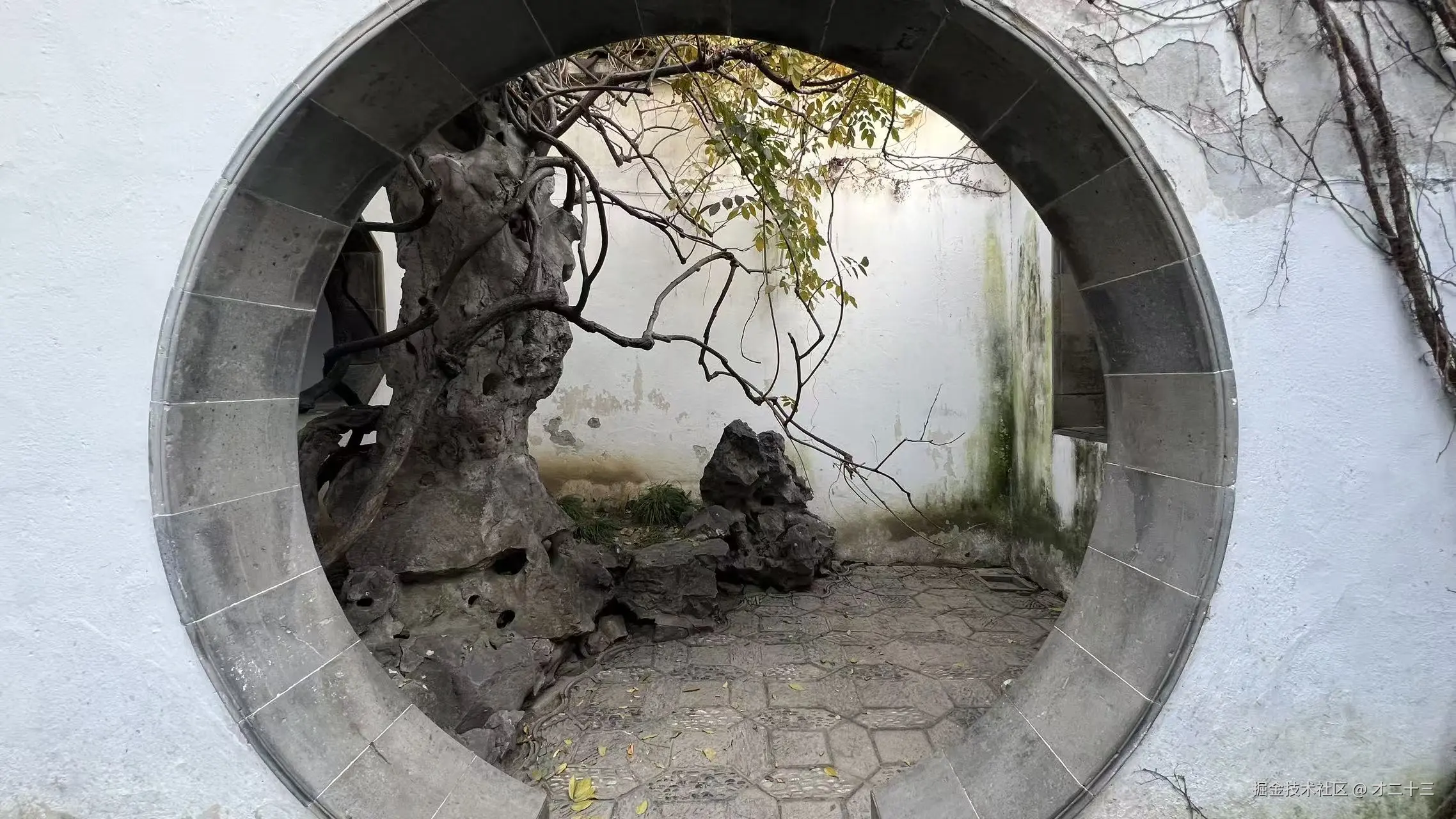 才二十三于2025-12-12 09:33发布的图片