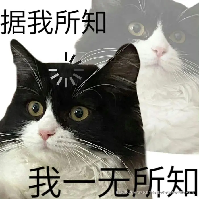 我听说名字起的很长的话会有傻子跟着一起念于2025-01-24 15:06发布的图片