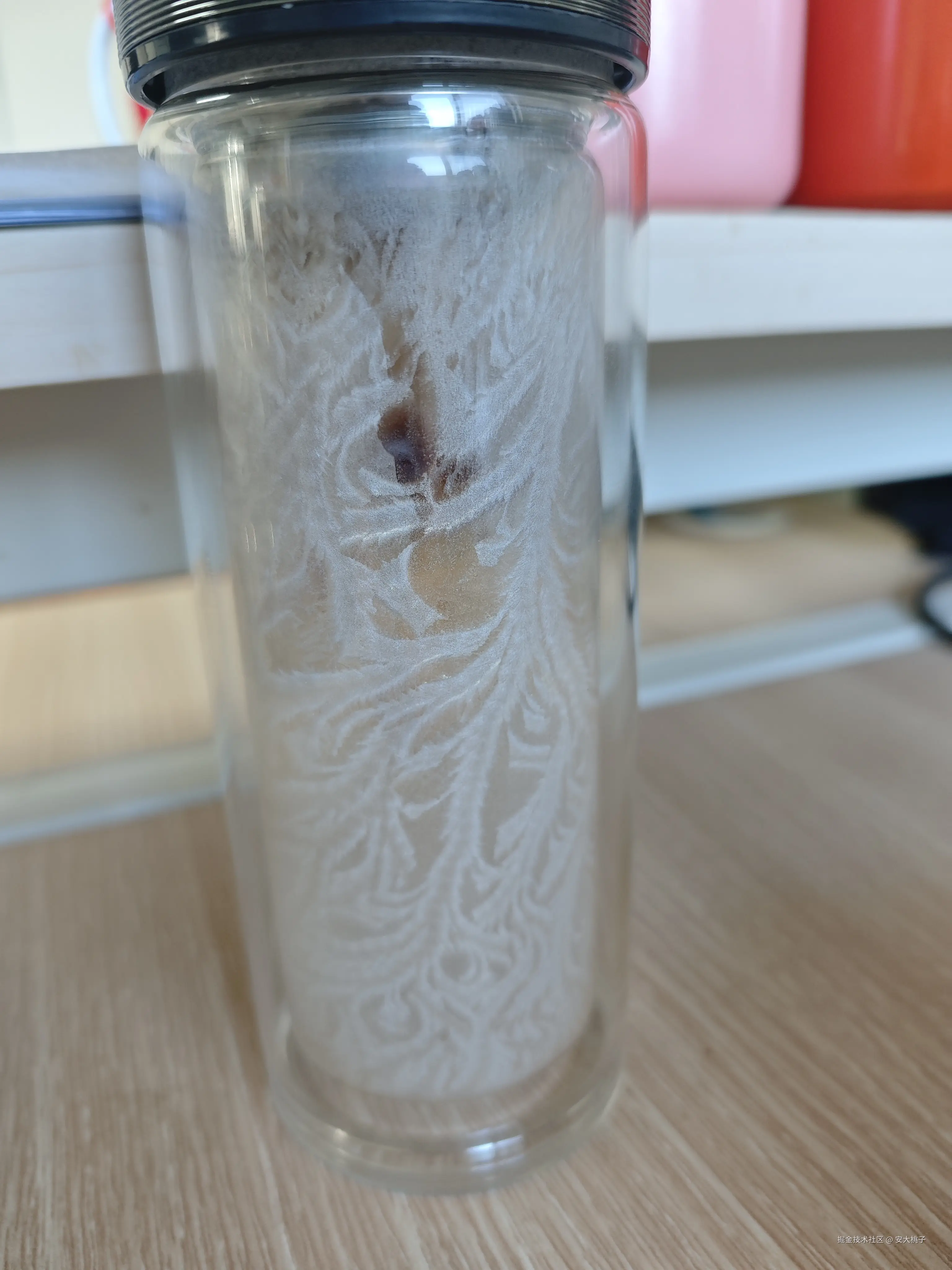 安大桃子于2026-01-21 13:05发布的图片