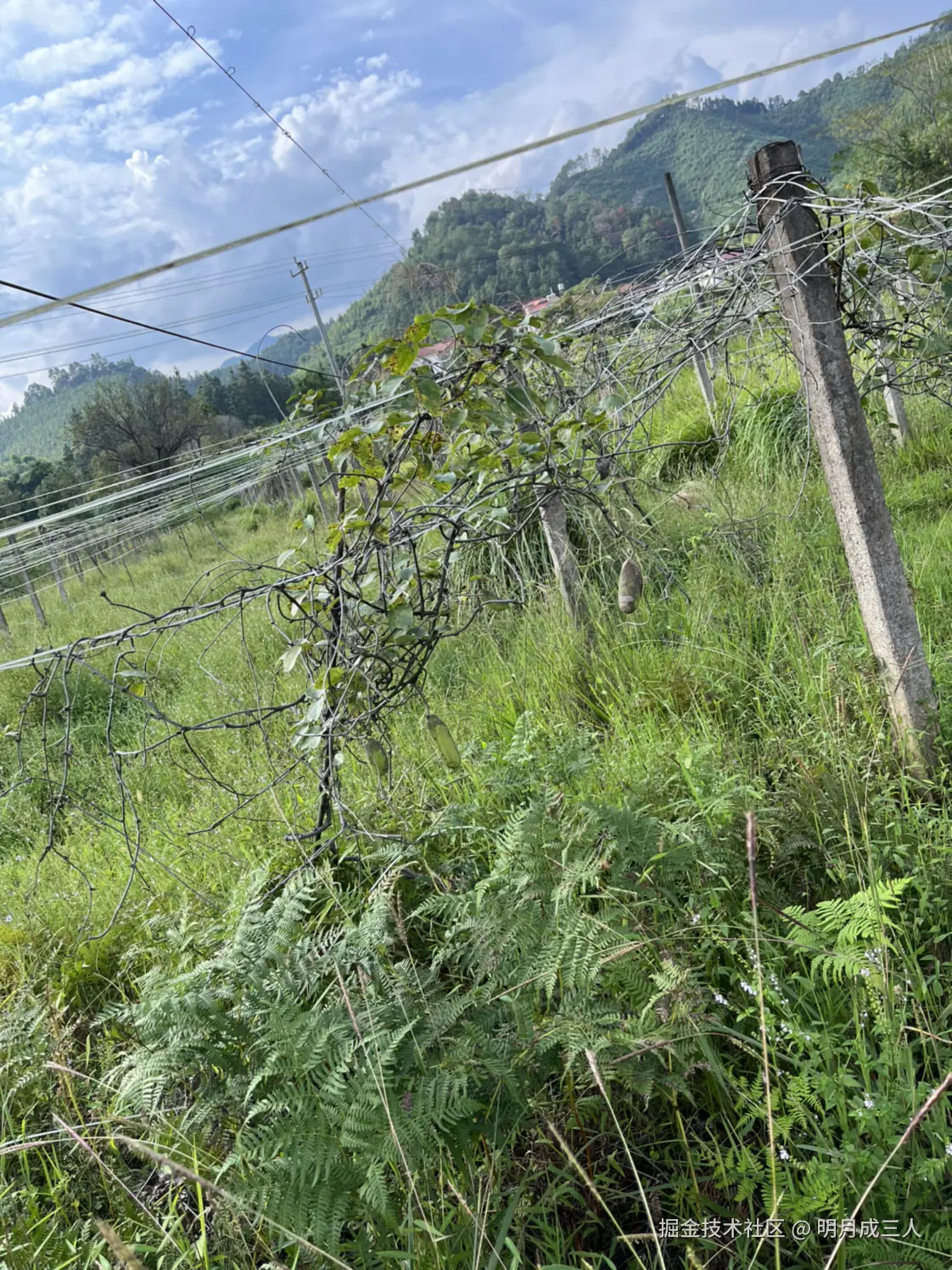 明月成三人于2025-10-10 01:16发布的图片