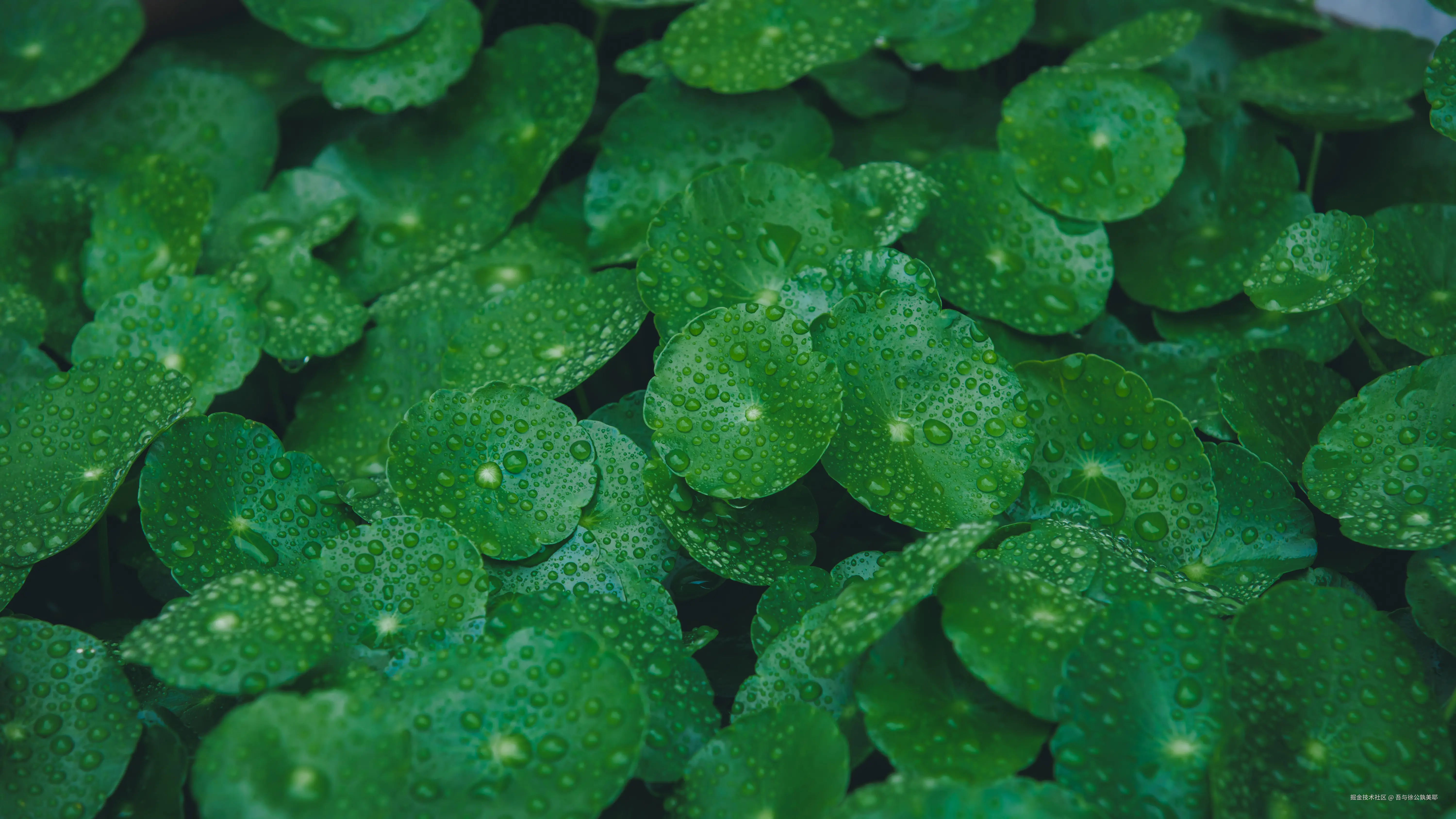 吾与徐公孰美耶于2025-06-13 10:05发布的图片