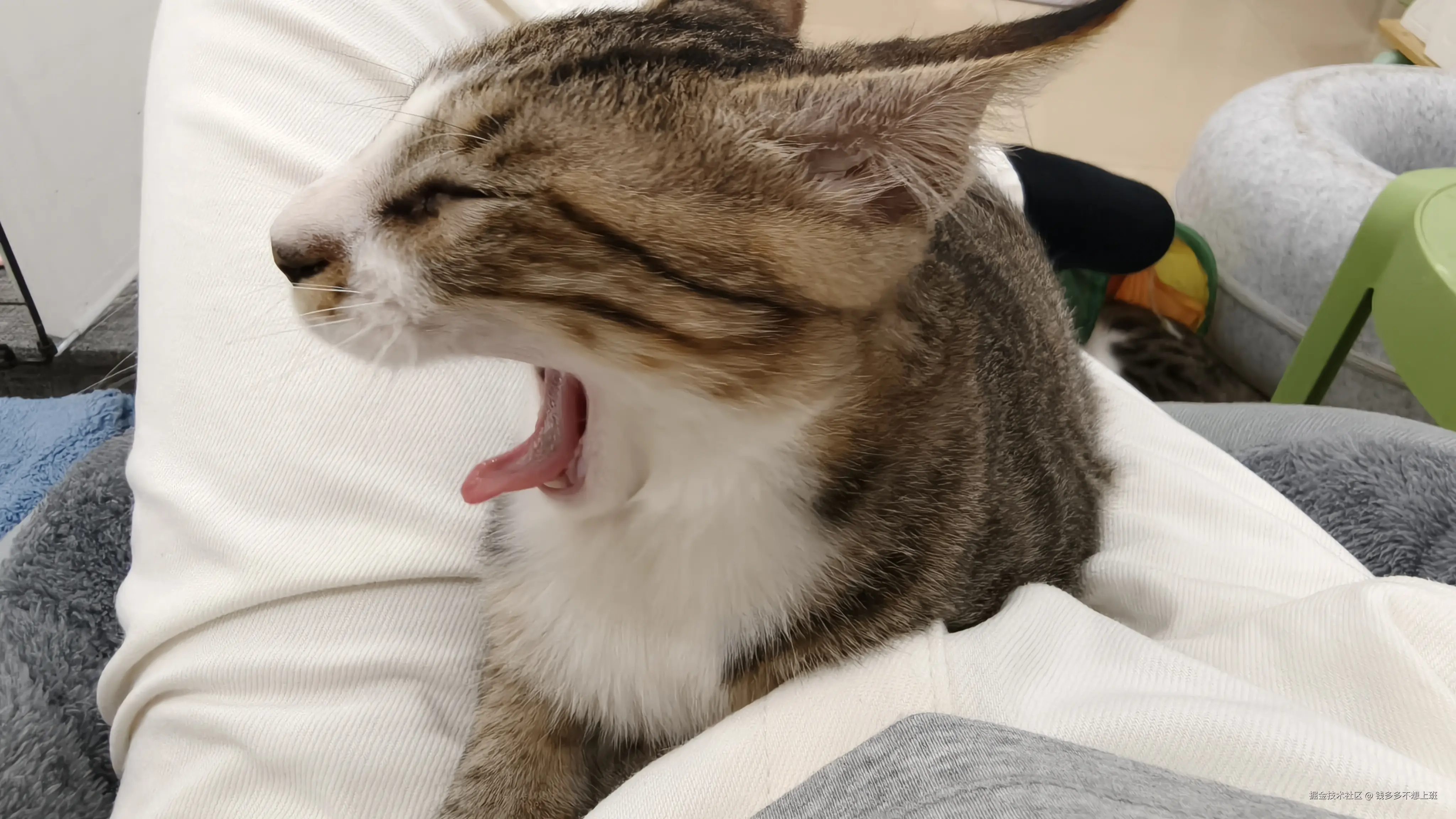 钱多多不想上班于2025-09-26 09:53发布的图片