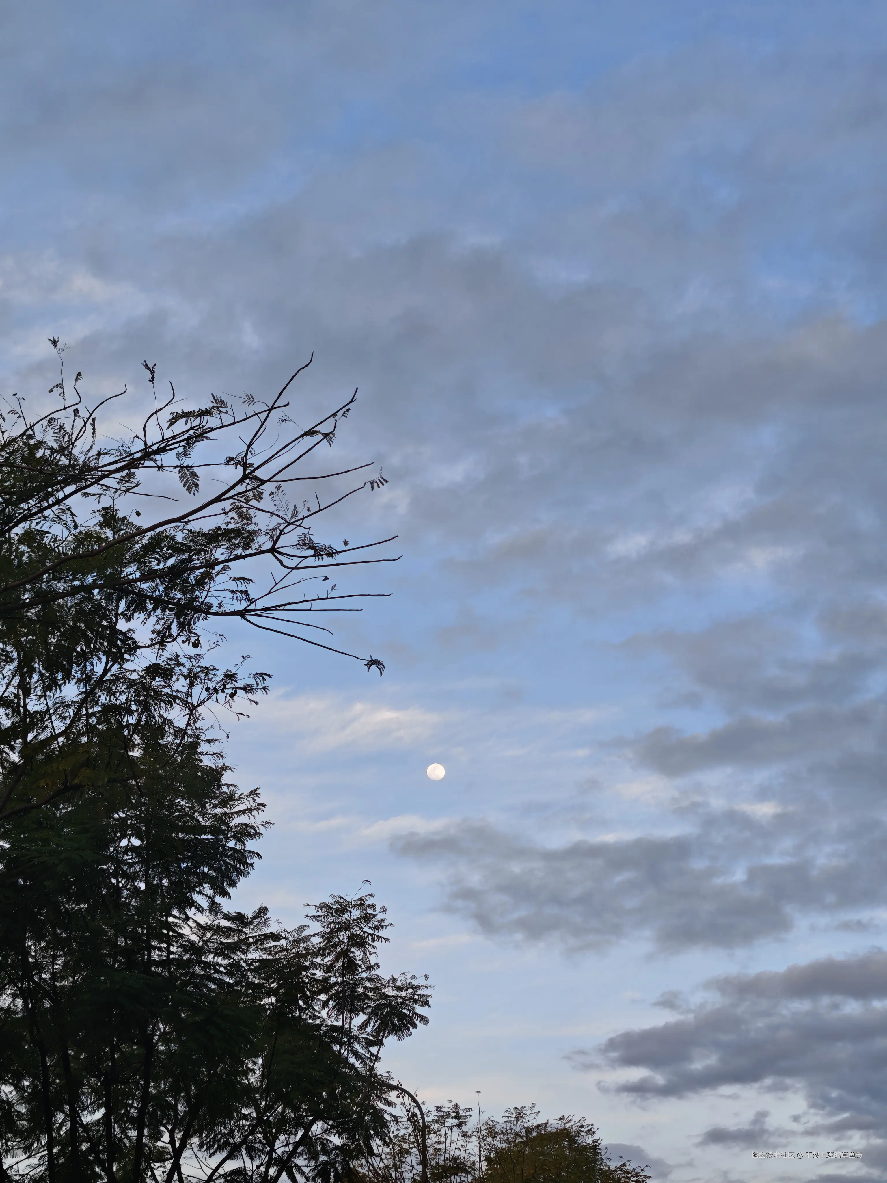 不想上班的章鱼哥于2026-03-03 14:55发布的图片