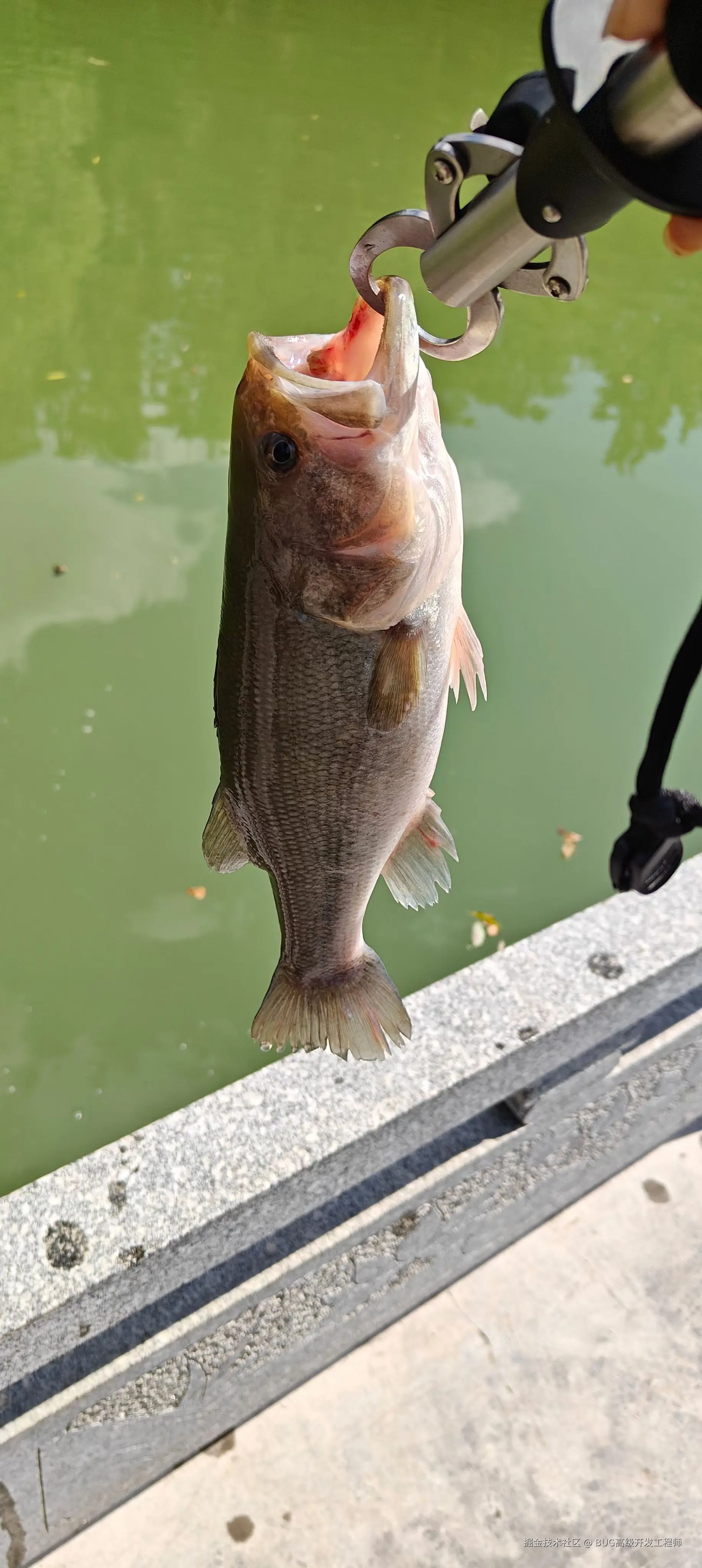 BUG高级开发工程师于2025-07-18 11:33发布的图片