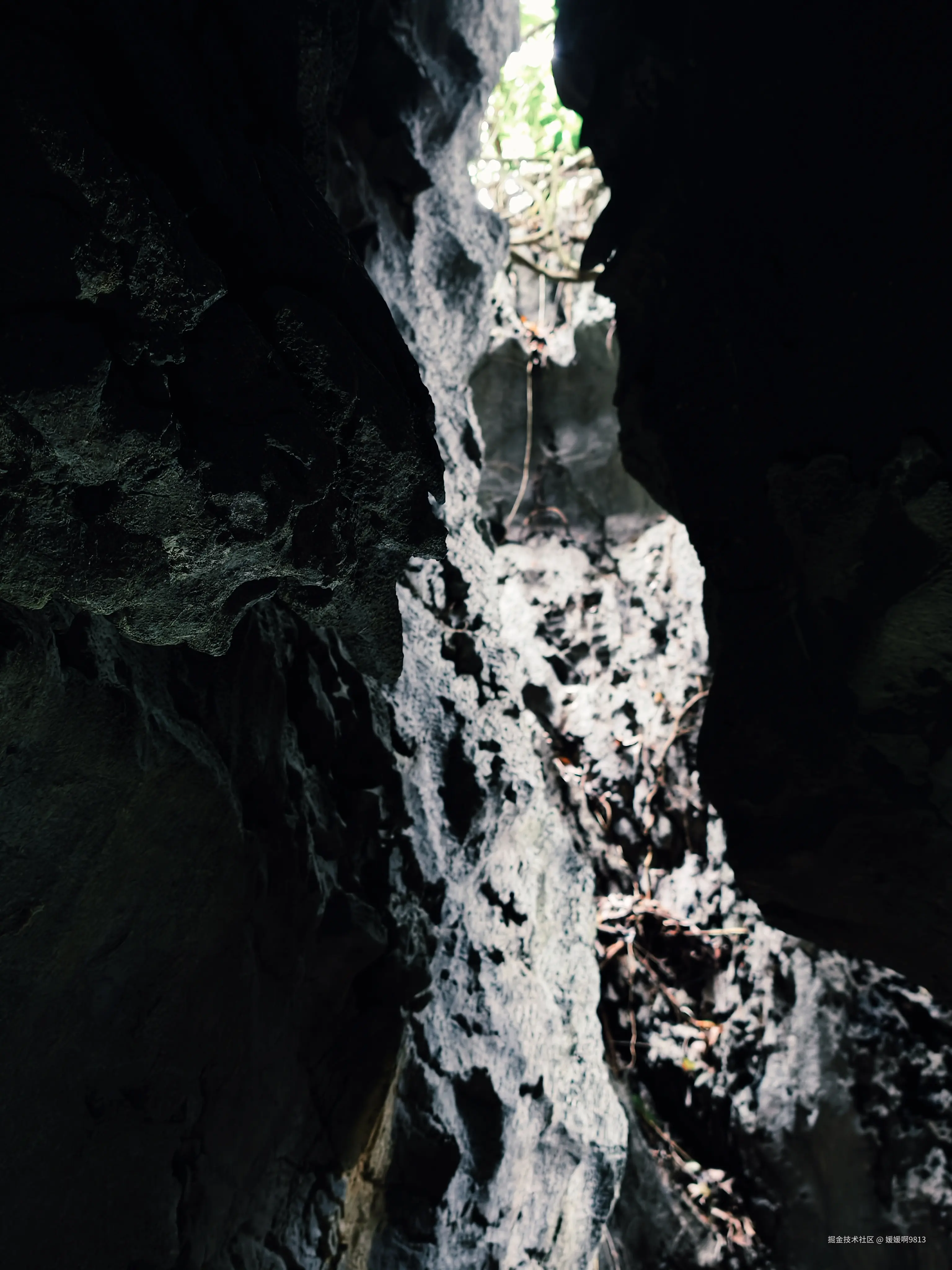 媛媛啊9813于2026-03-22 21:52发布的图片