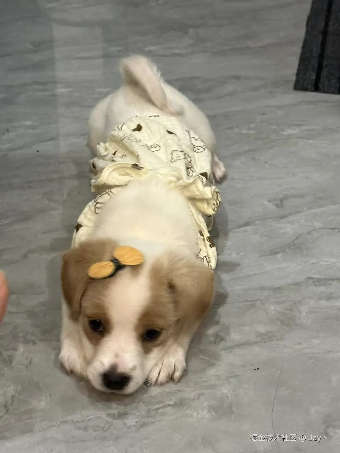 Jay丶于2024-10-14 10:01发布的图片