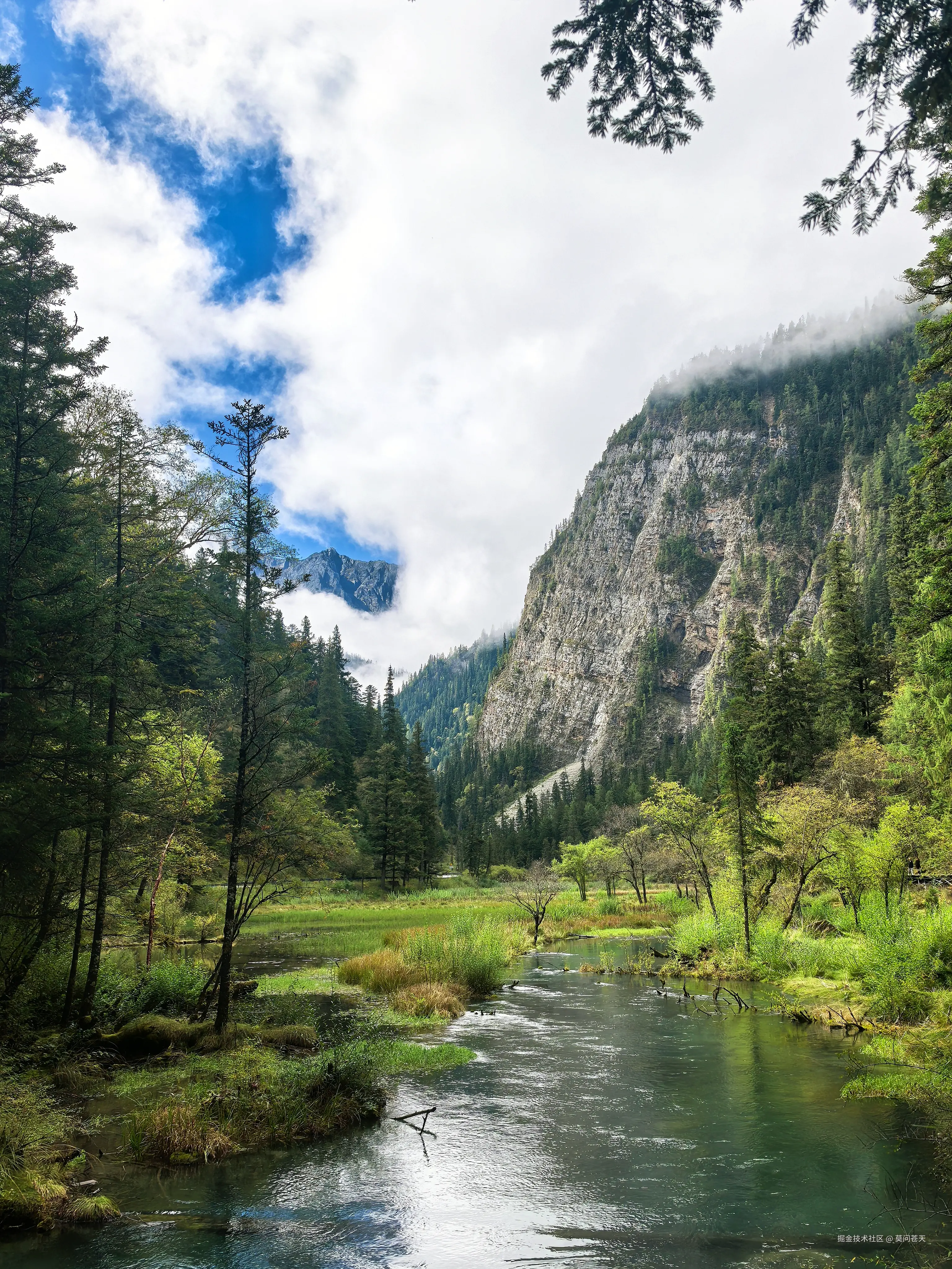 莫问苍天于2025-10-09 10:54发布的图片