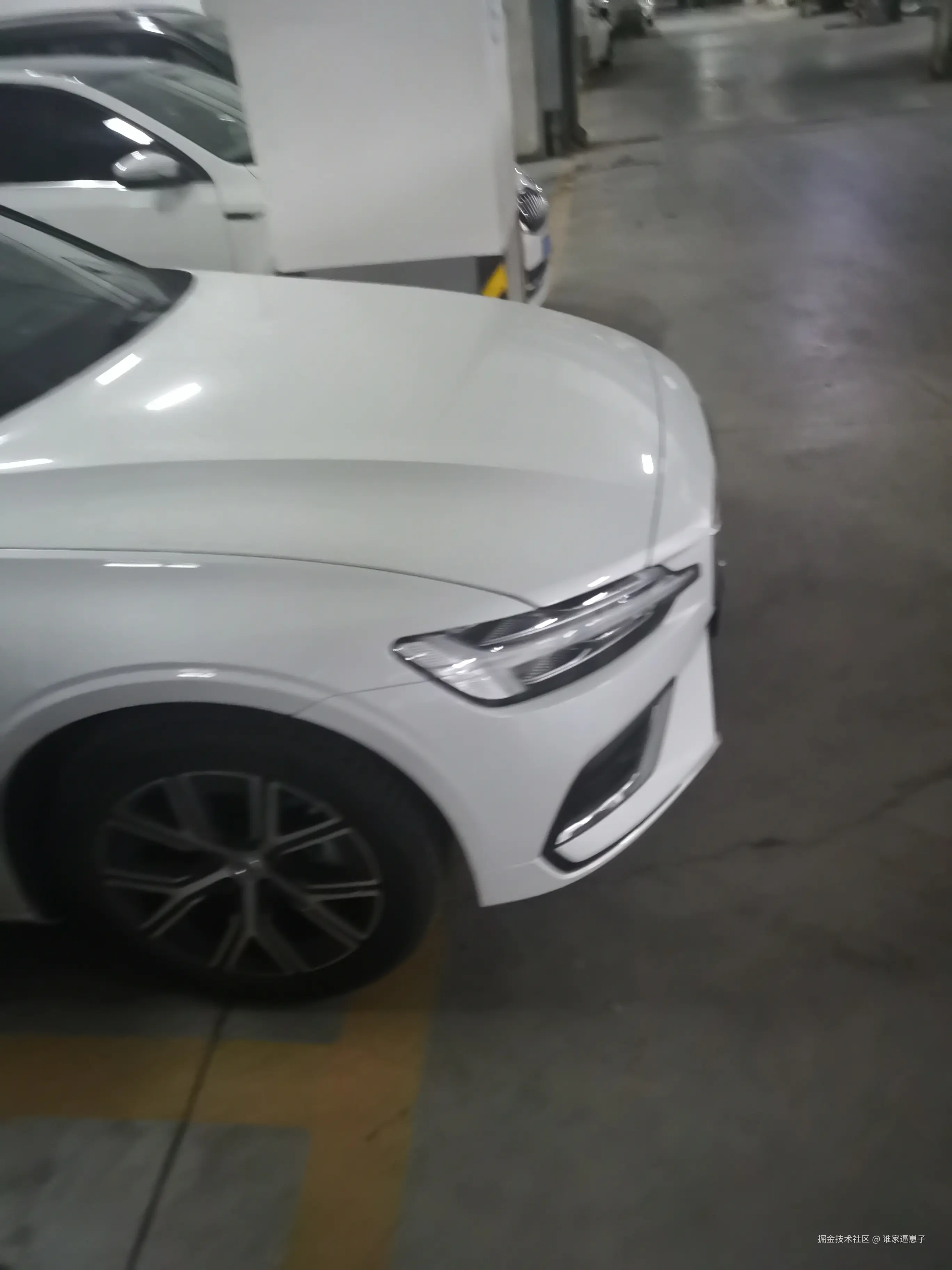 谁家逼崽子于2025-03-18 18:49发布的图片