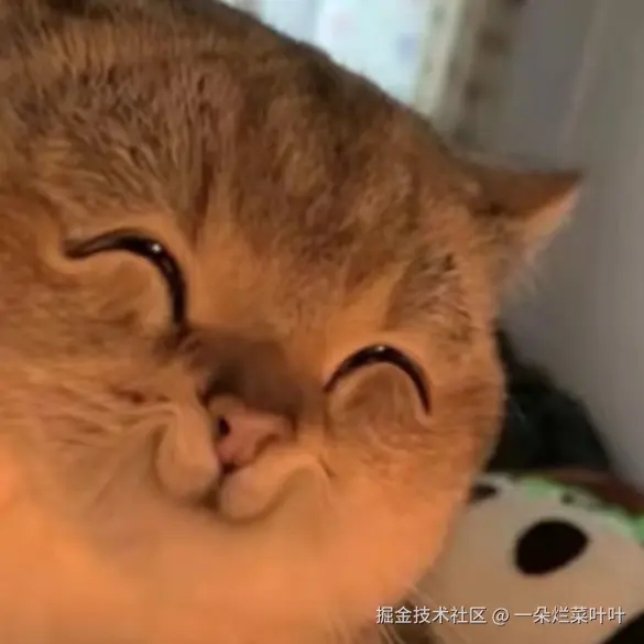 一朵烂菜叶叶于2024-11-19 20:39发布的图片