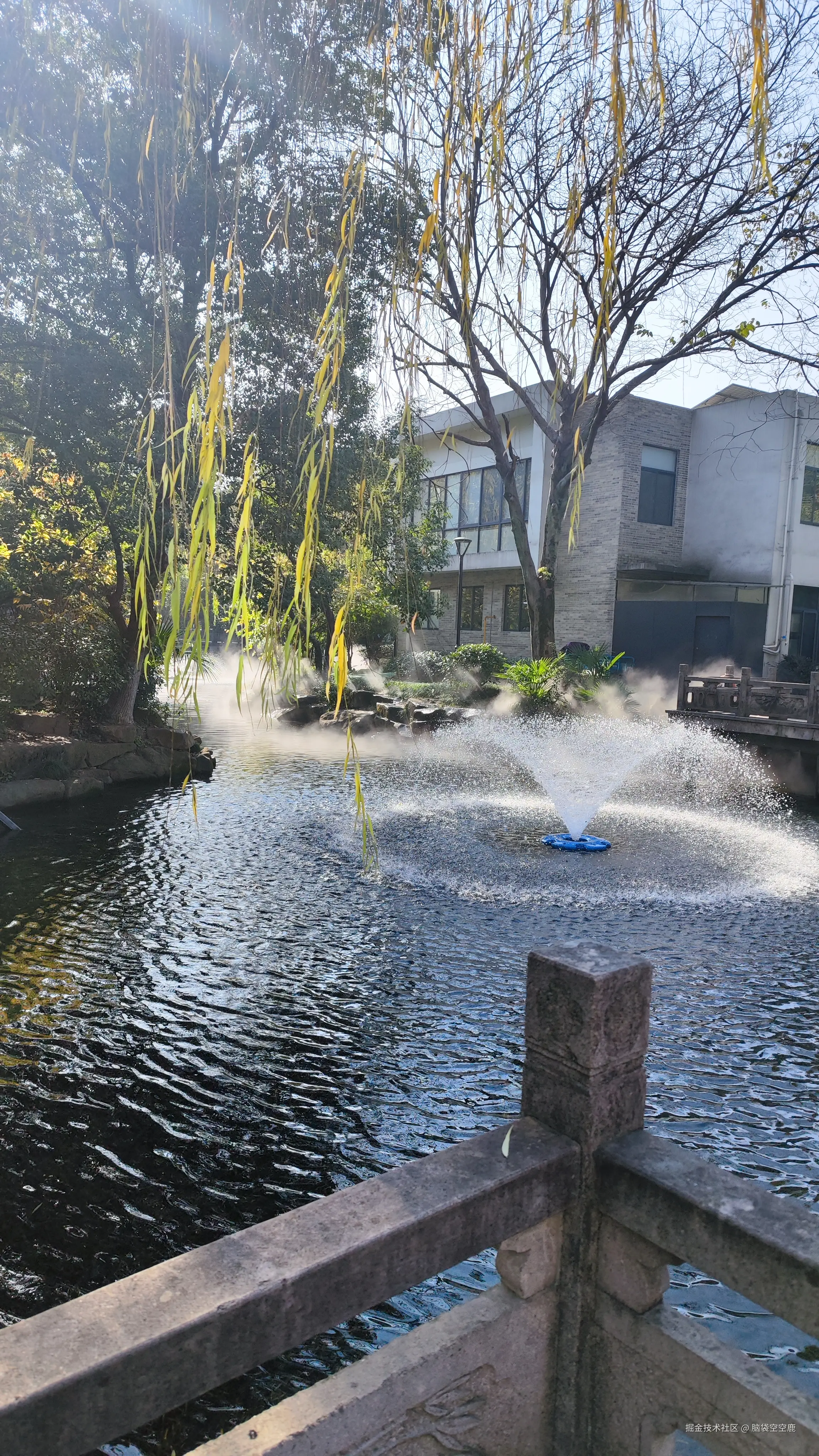 脑袋空空鹿于2026-01-08 10:56发布的图片