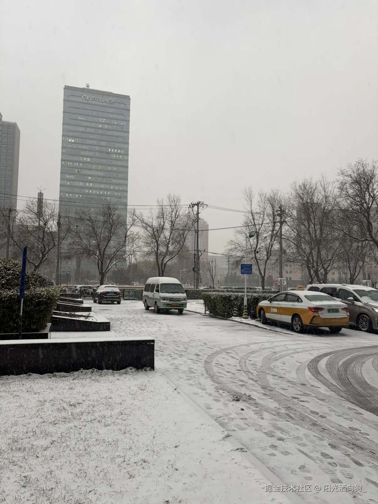 阳光洒向狗_于2025-12-12 15:41发布的图片