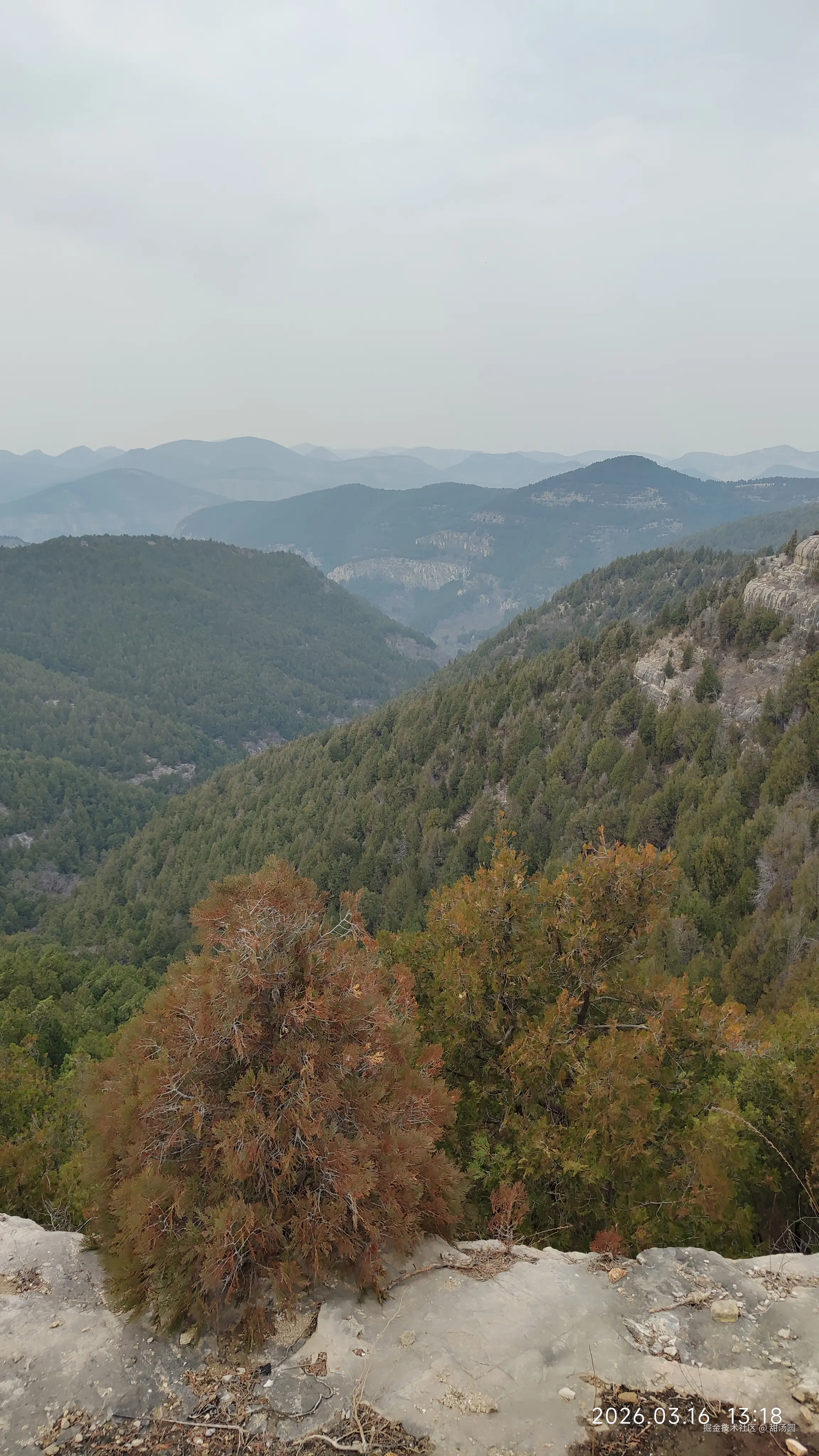 甜汤圆于2026-03-16 13:23发布的图片