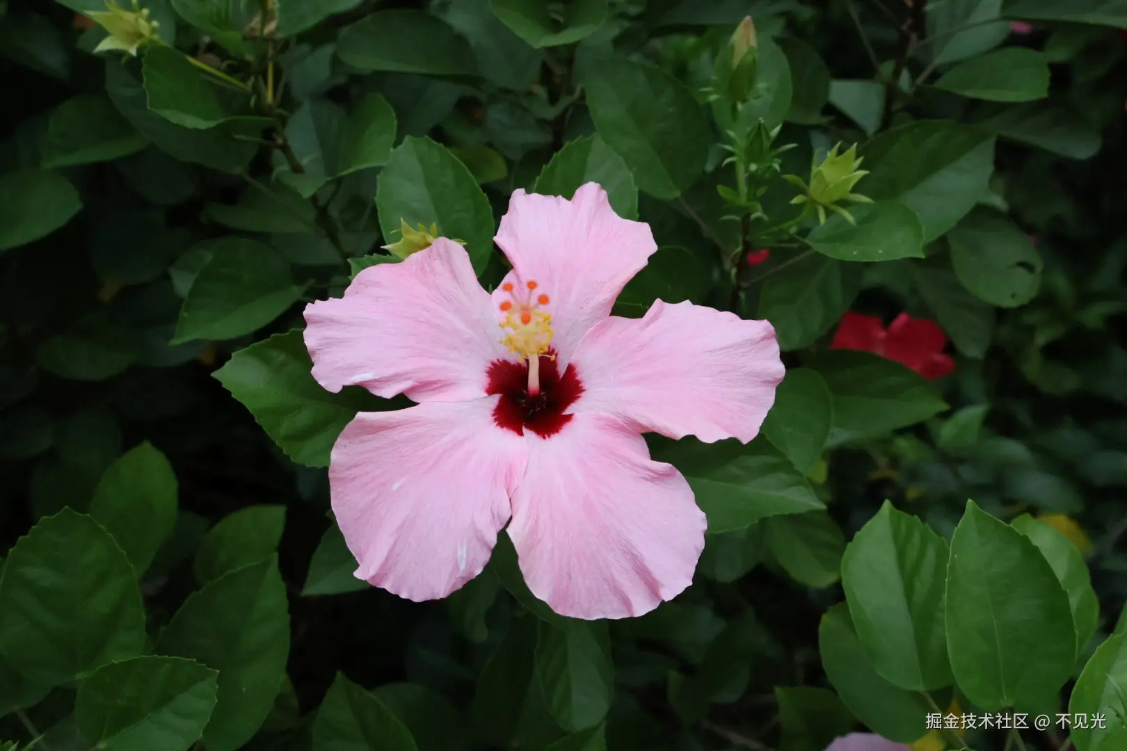 不见光于2025-11-03 17:08发布的图片