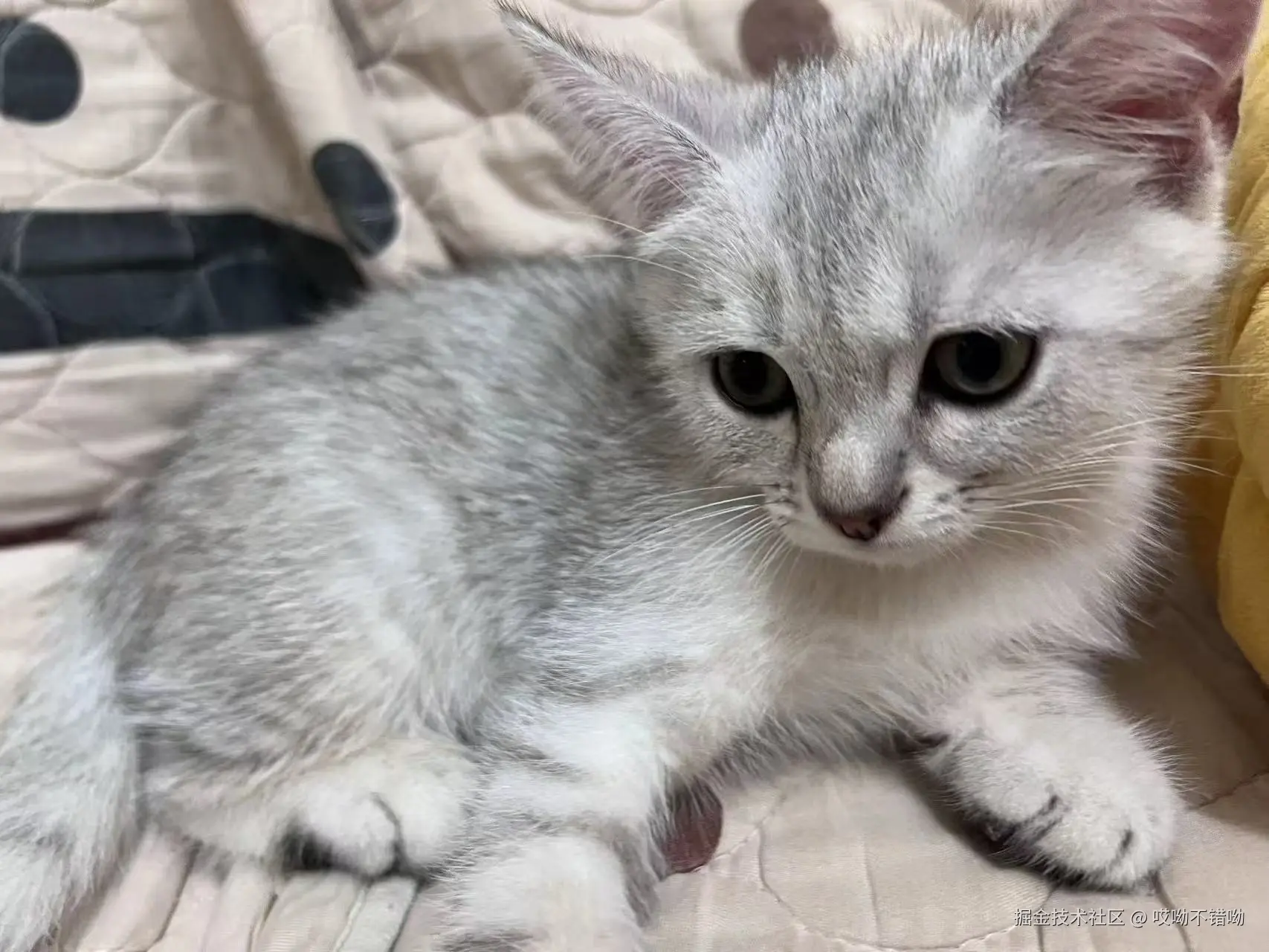 哎呦不错呦于2024-08-08 11:09发布的图片