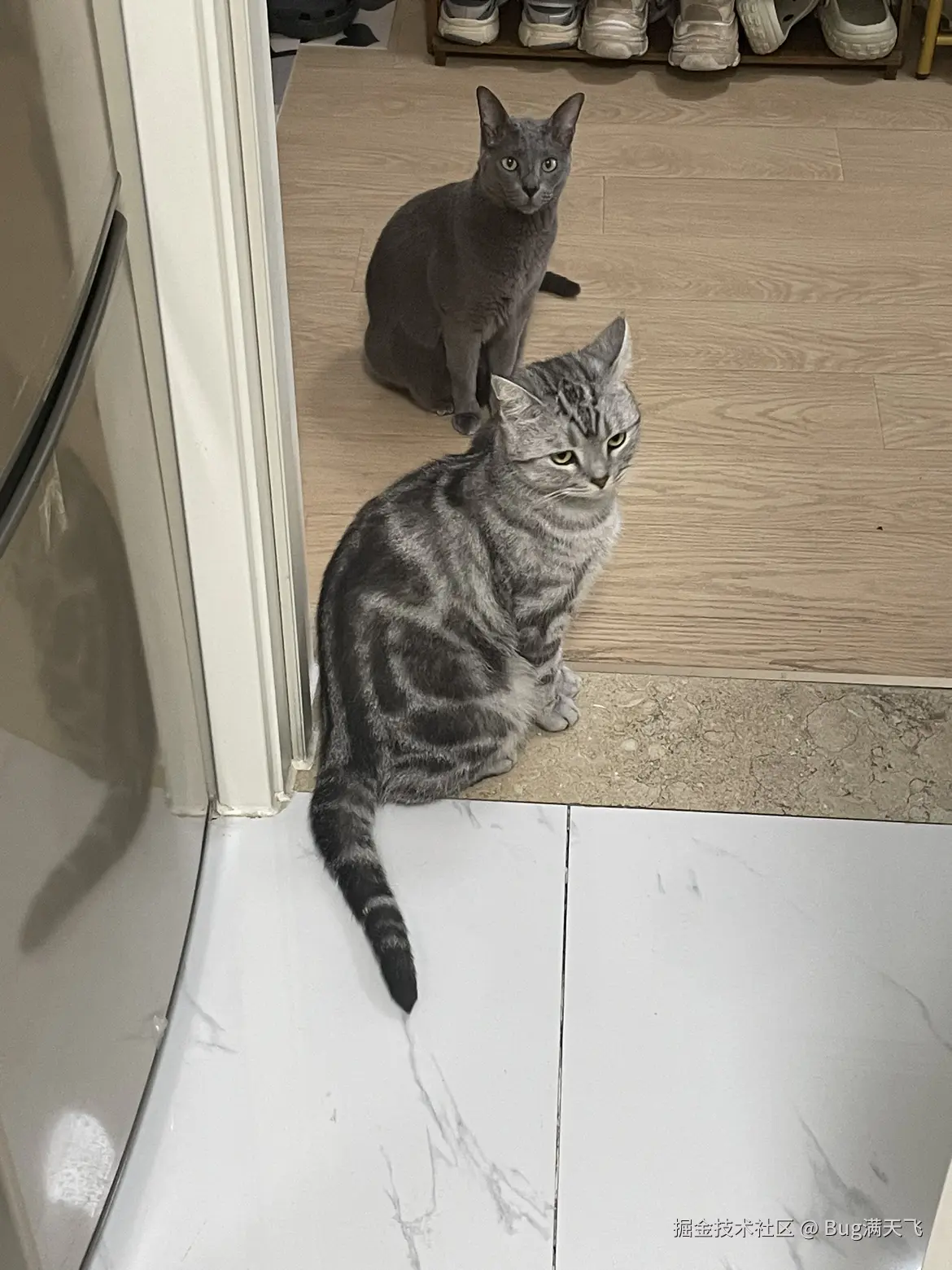 Bug满天飞于2024-09-12 14:24发布的图片