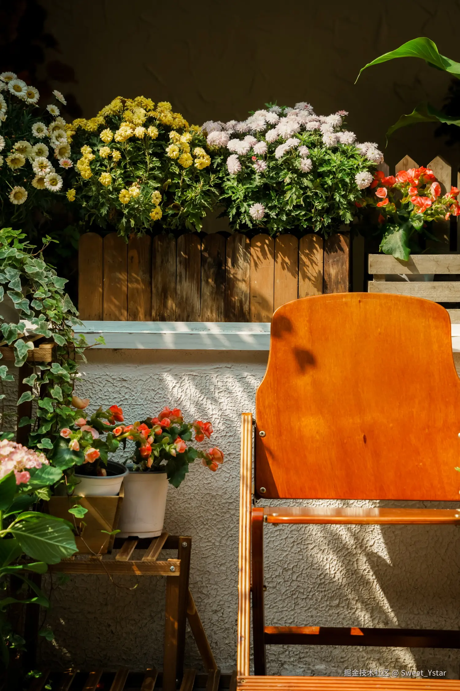 Sweet_Ystar于2026-04-18 09:55发布的图片