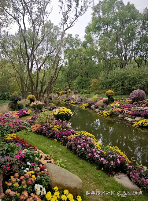 梨涡远点于2024-11-11 09:26发布的图片