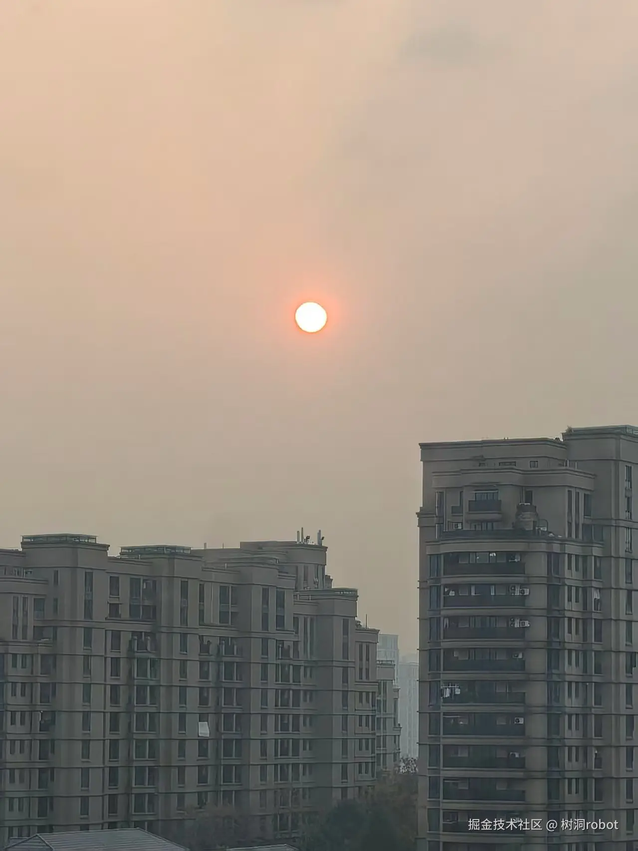 树洞robot于2025-12-08 16:16发布的图片