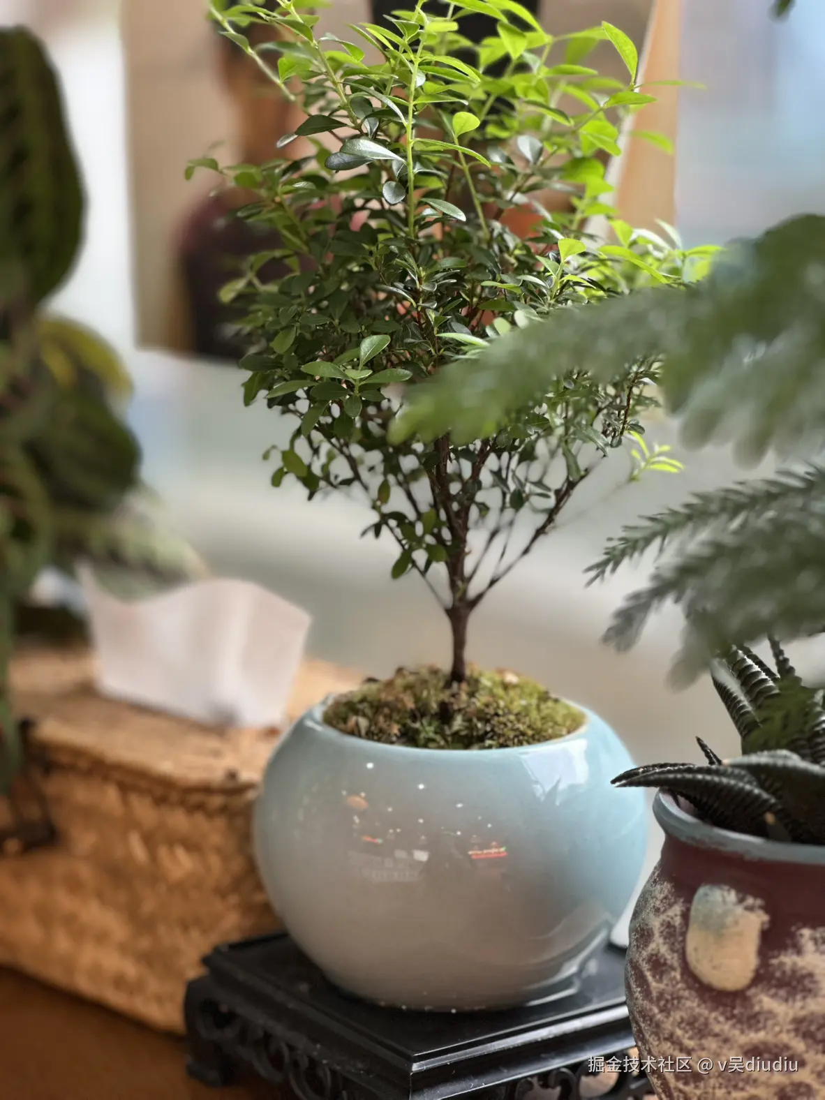 v吴diudiu于2025-08-24 14:11发布的图片