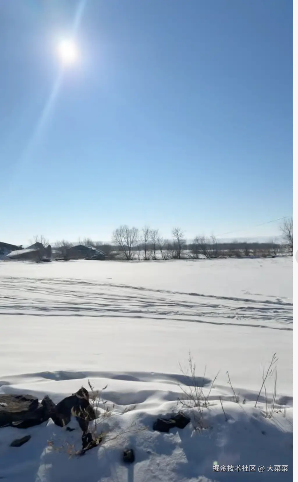 大菜菜于2026-02-13 11:29发布的图片