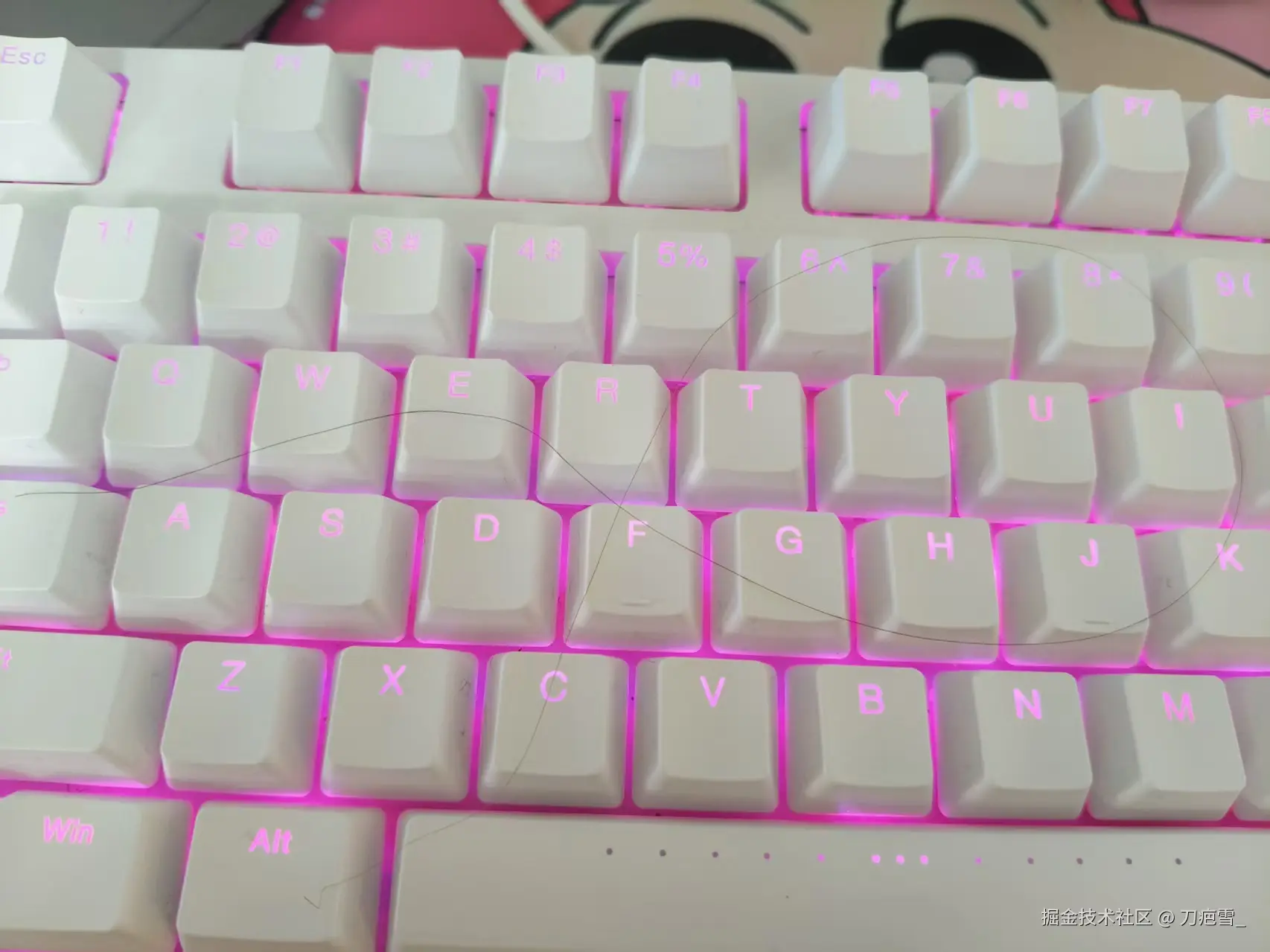 刀疤雪_于2026-02-02 08:58发布的图片