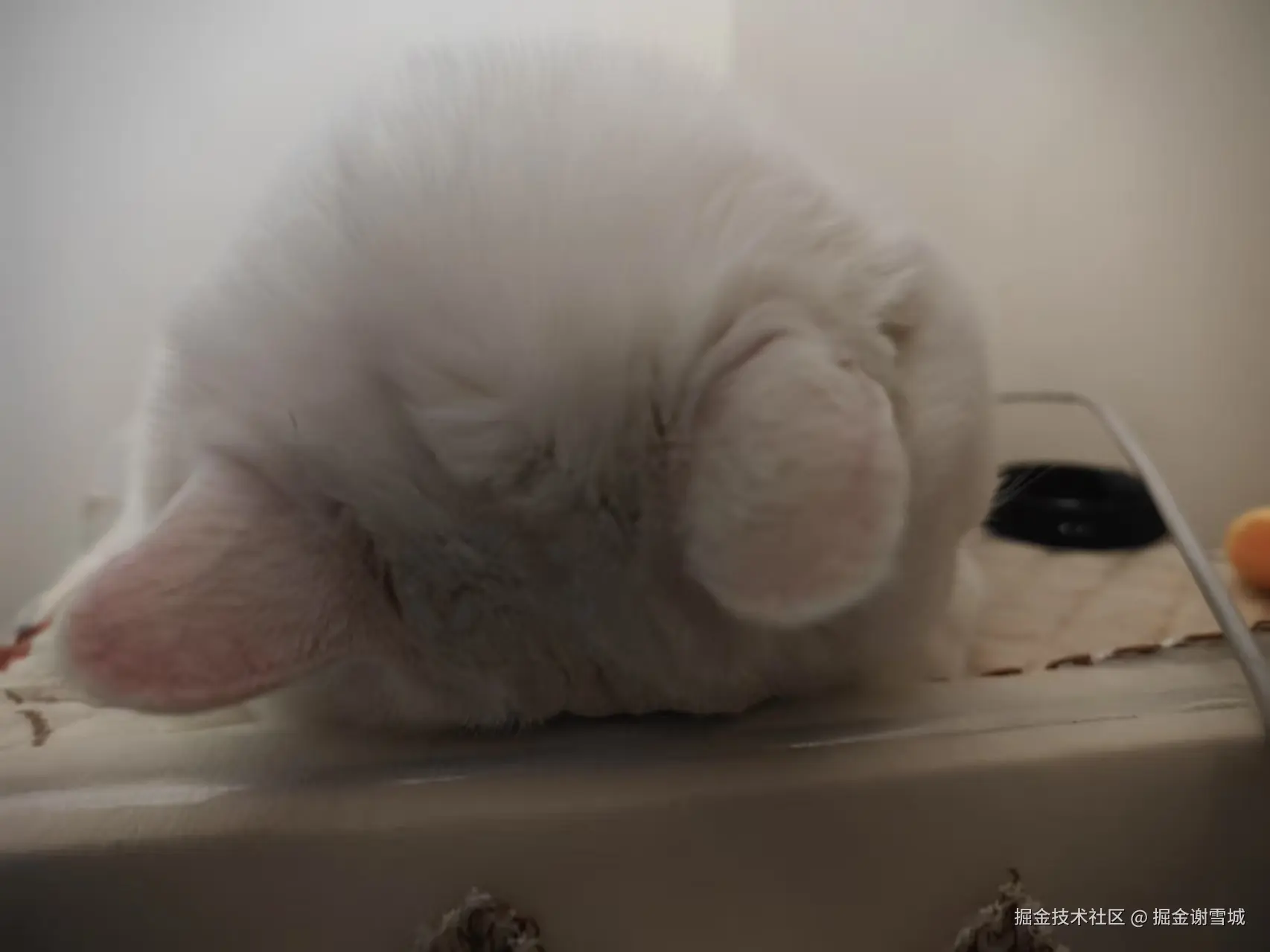 掘金谢雪城于2025-09-11 10:22发布的图片