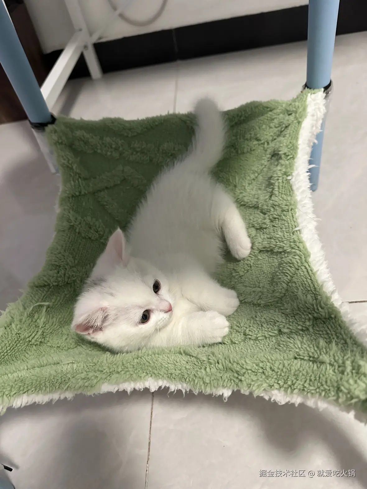 就爱吃火锅于2025-03-03 09:33发布的图片