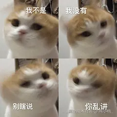 陈小桃_于2026-02-06 17:06发布的图片