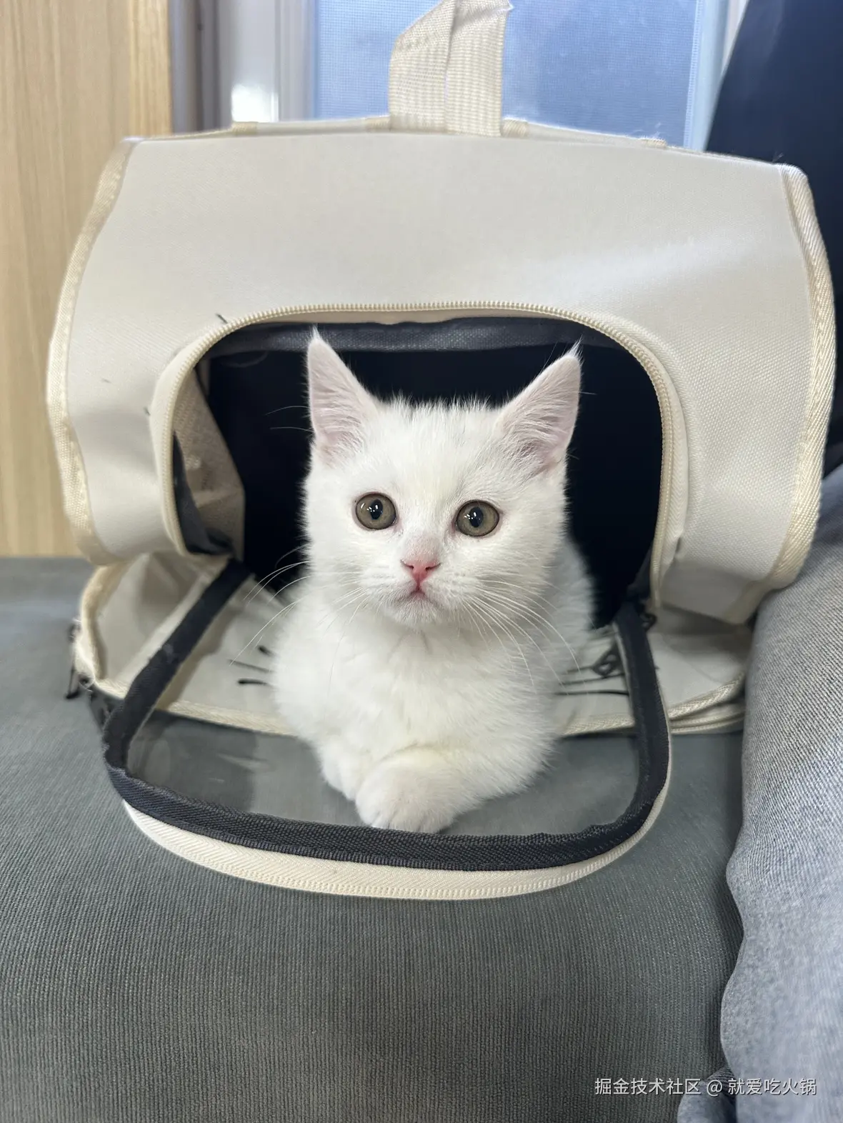 就爱吃火锅于2025-03-17 09:32发布的图片