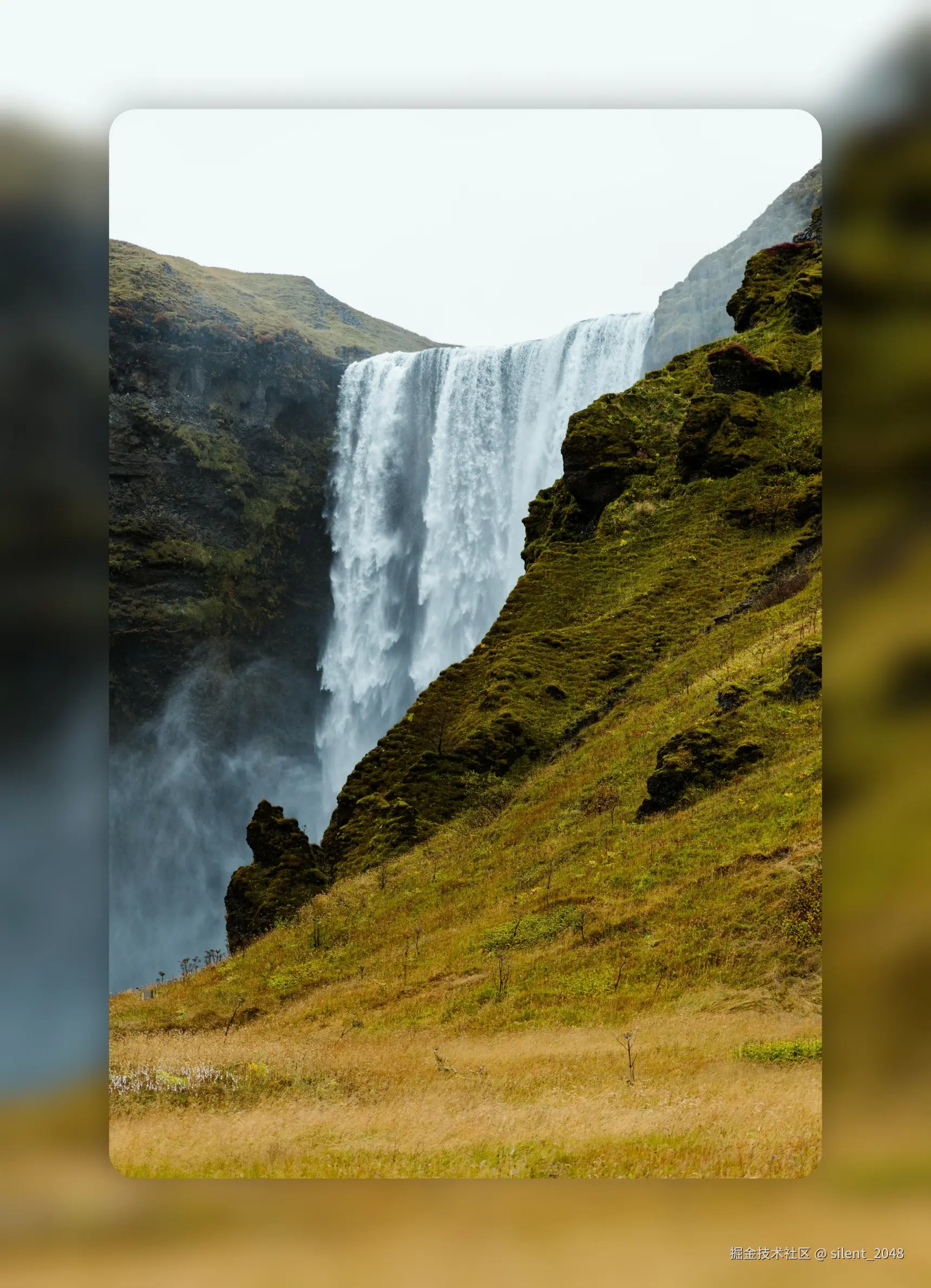 silent_2048于2025-05-15 09:54发布的图片