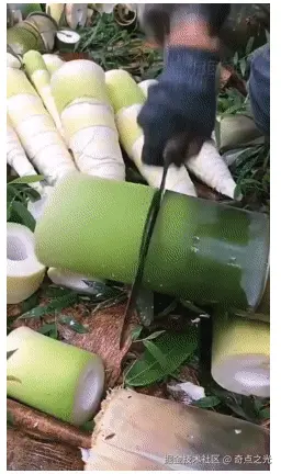 奇点之光于2025-04-18 09:30发布的图片