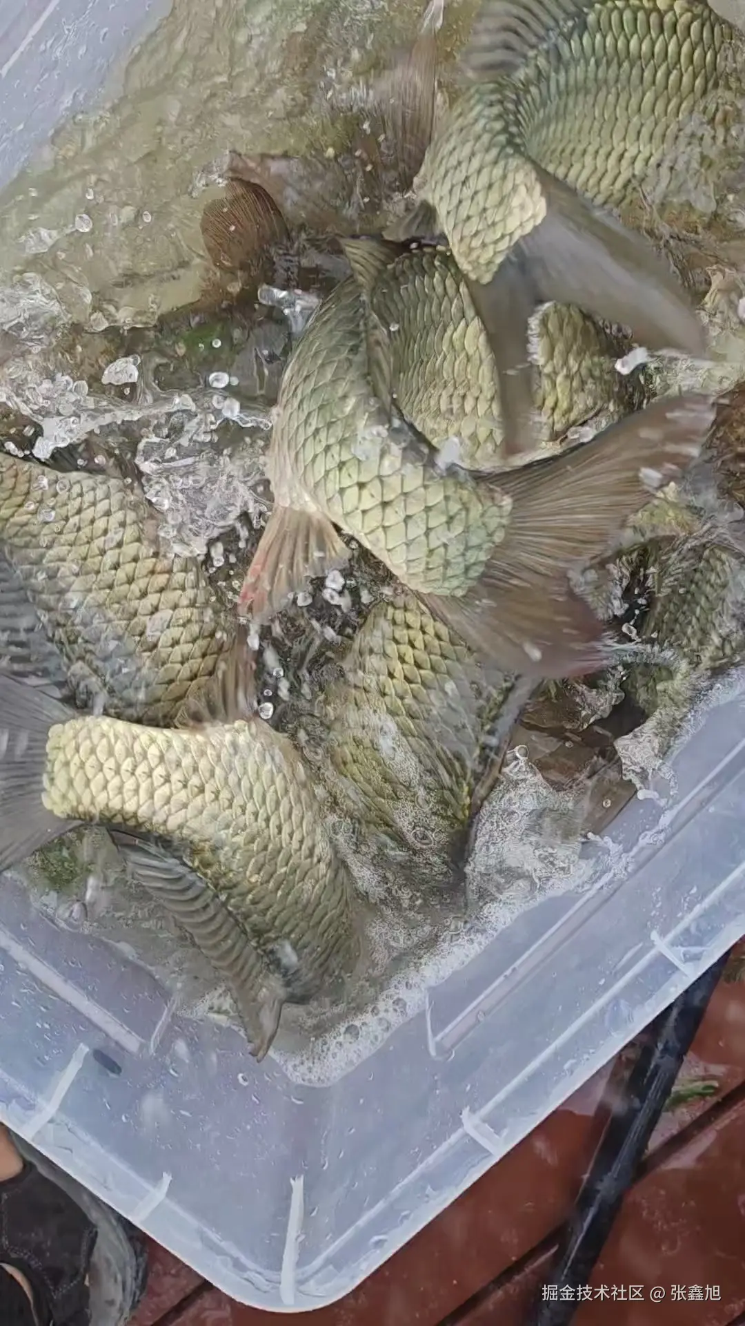 张鑫旭于2025-09-09 16:25发布的图片