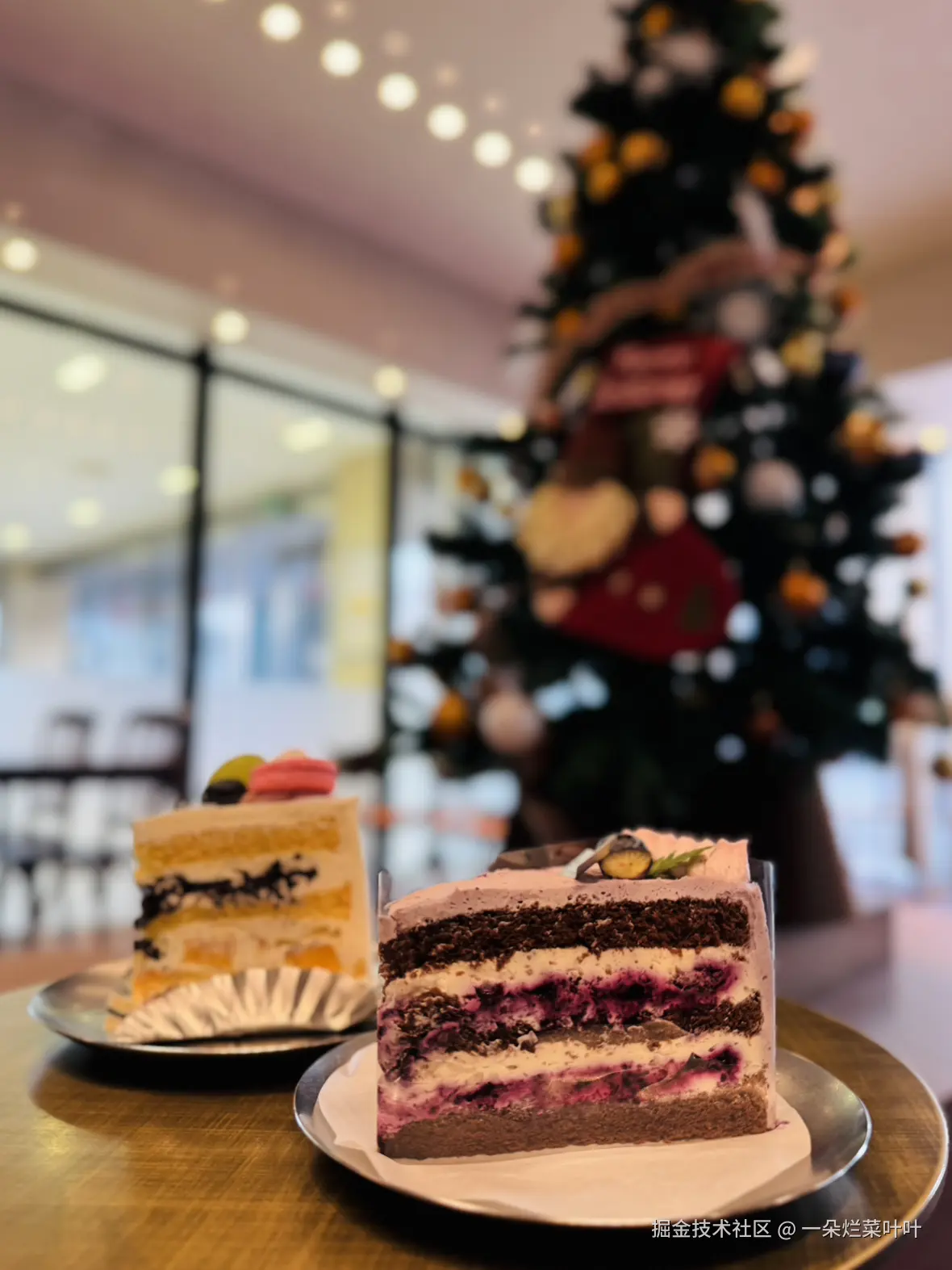 一朵烂菜叶叶于2024-12-09 15:37发布的图片