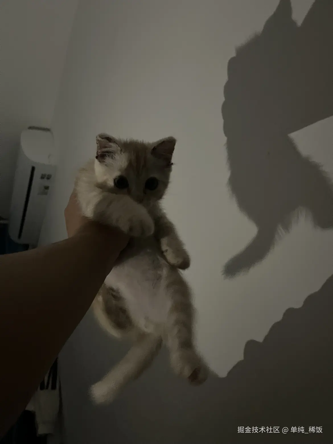 单纯_稀饭于2025-03-13 11:26发布的图片