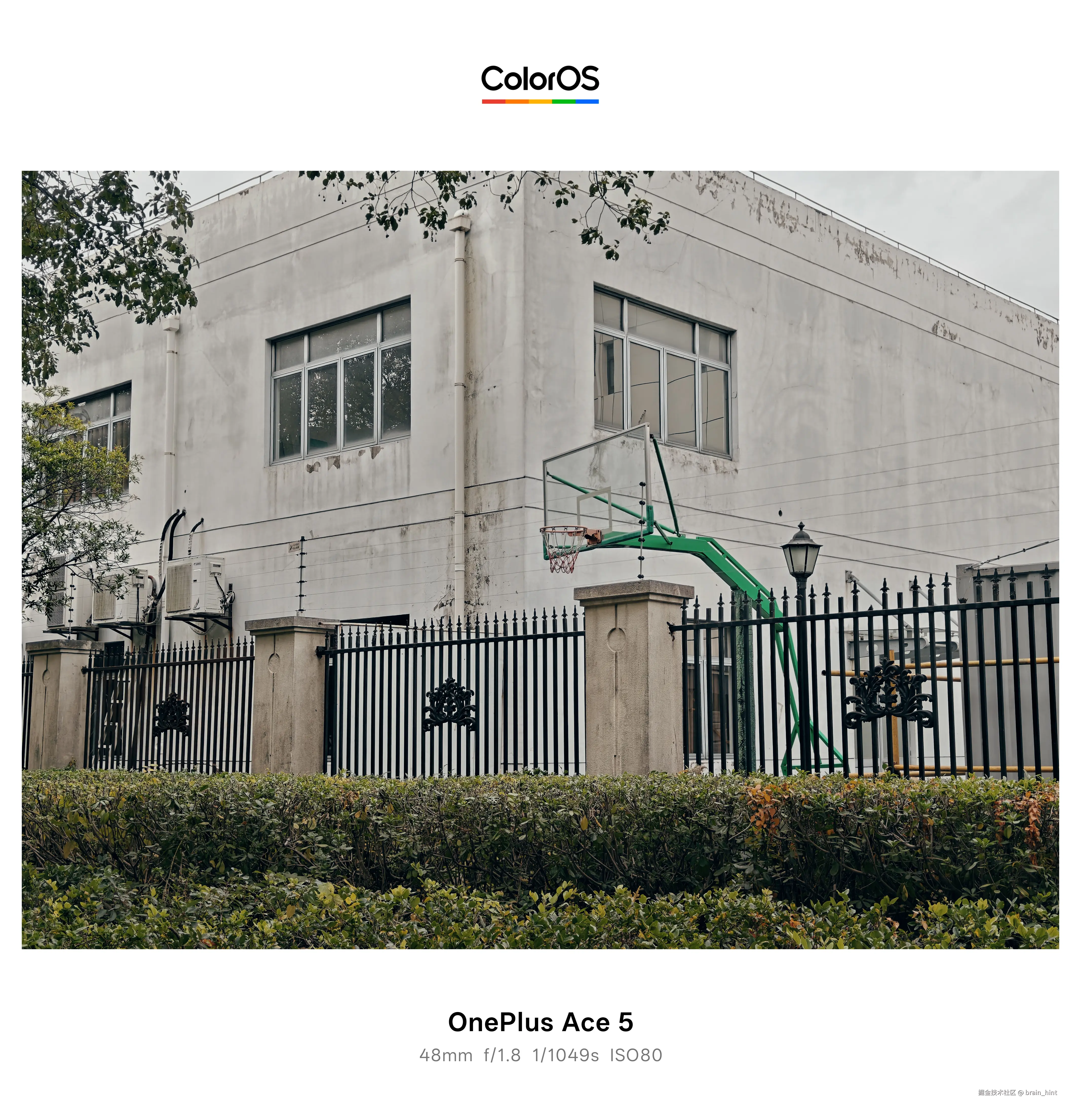 brain_hint于2025-12-10 04:53发布的图片