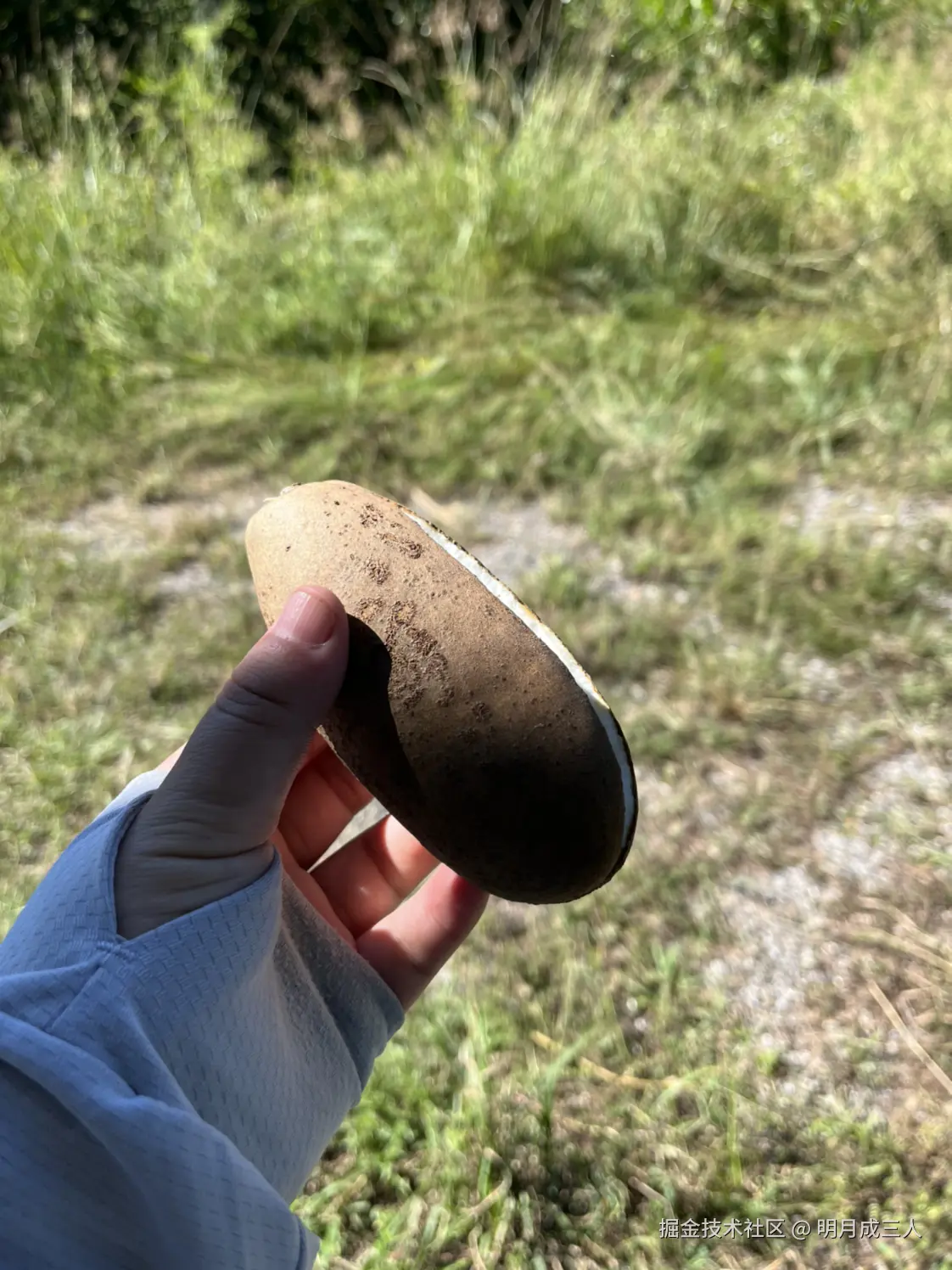 明月成三人于2025-10-10 01:16发布的图片