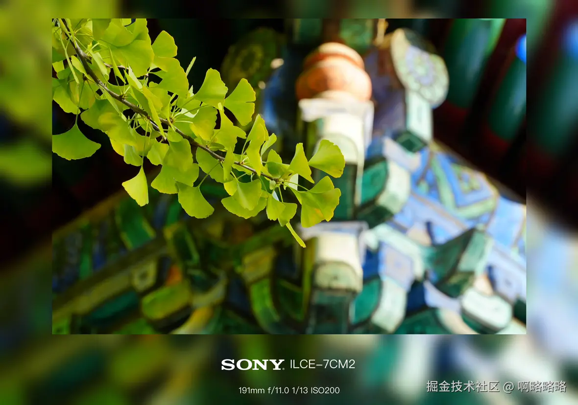 啊略略略于2024-10-28 10:27发布的图片