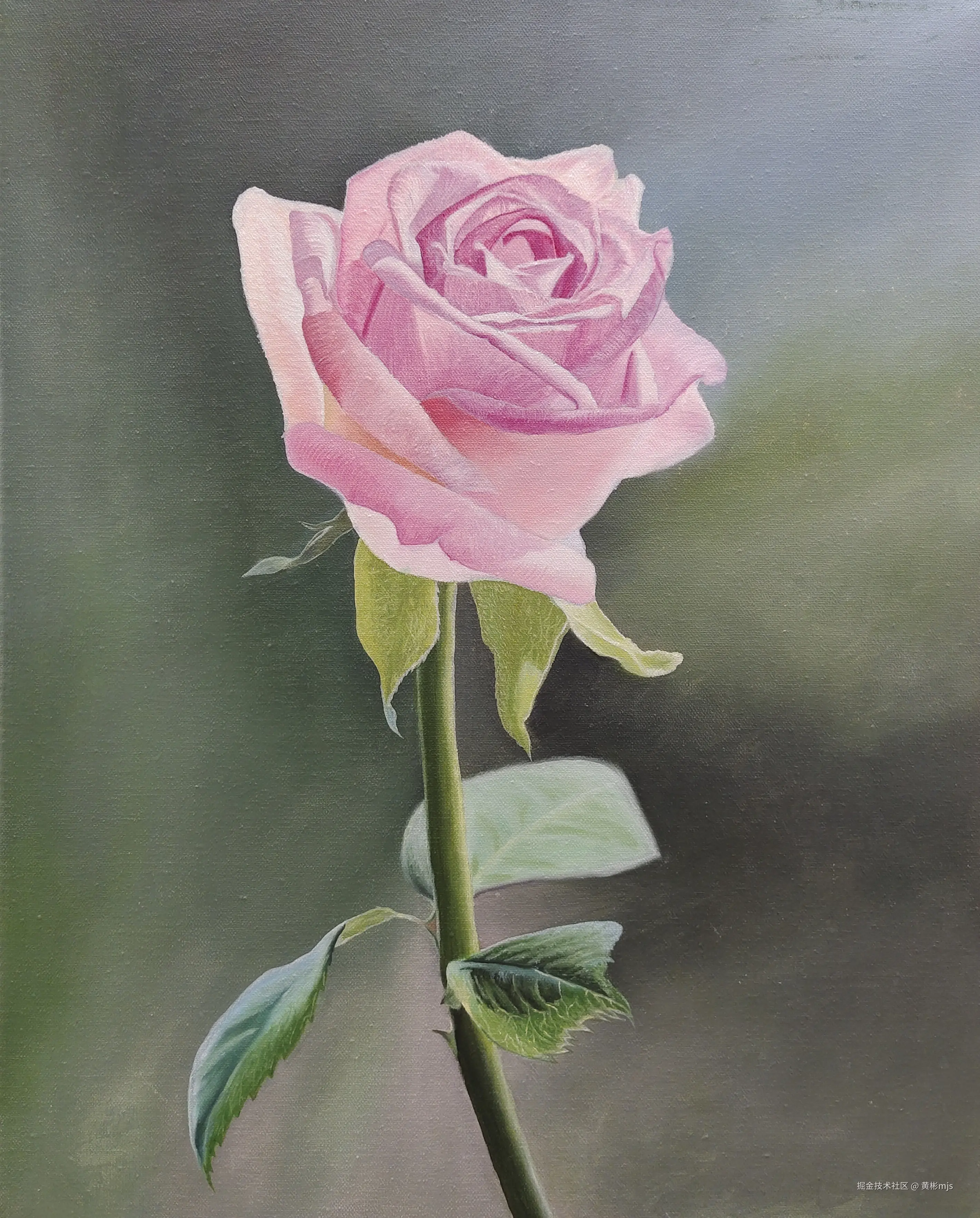 黄彬mjs于2024-11-28 08:37发布的图片