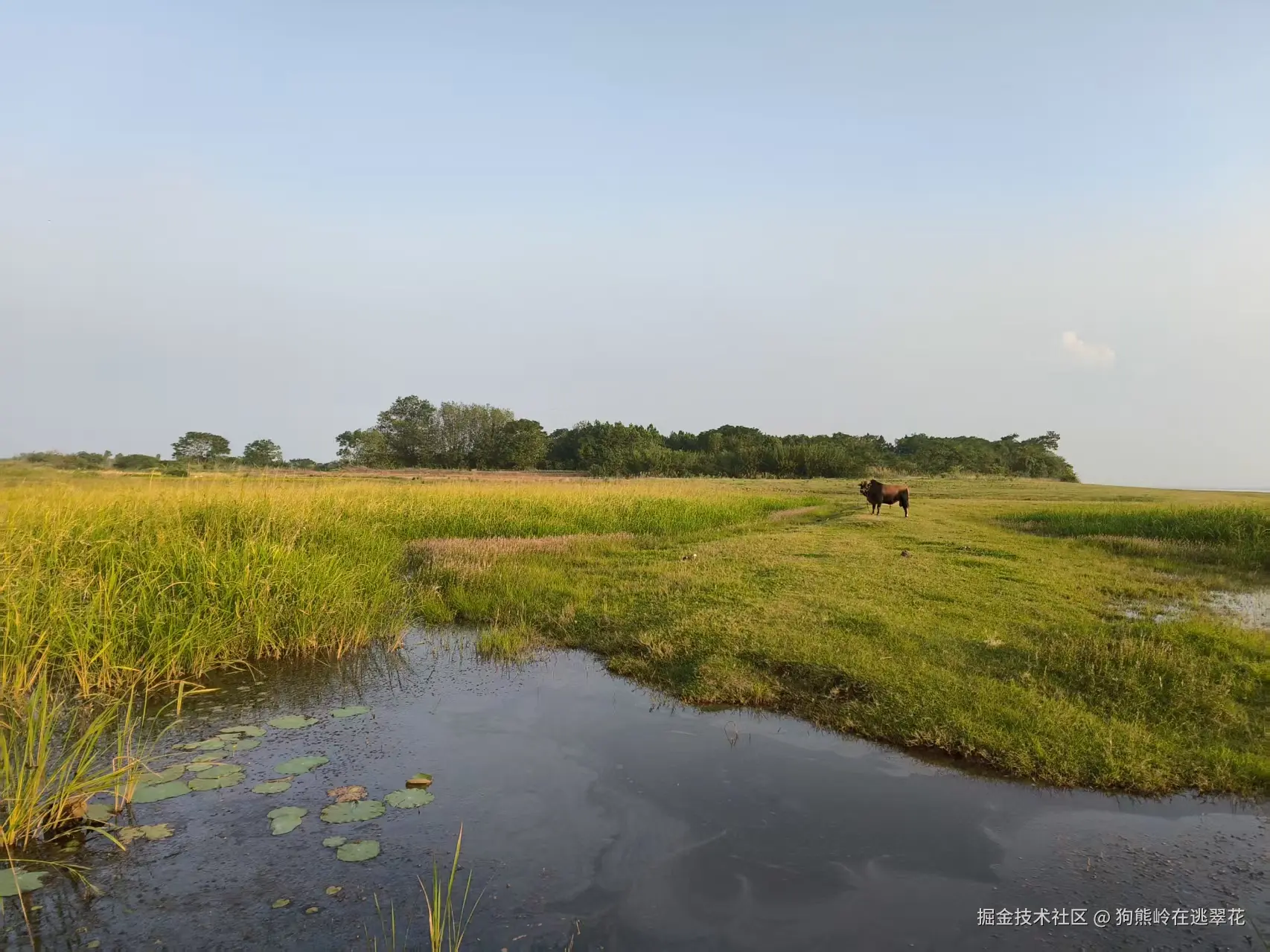 狗熊岭在逃翠花于2025-10-13 05:49发布的图片