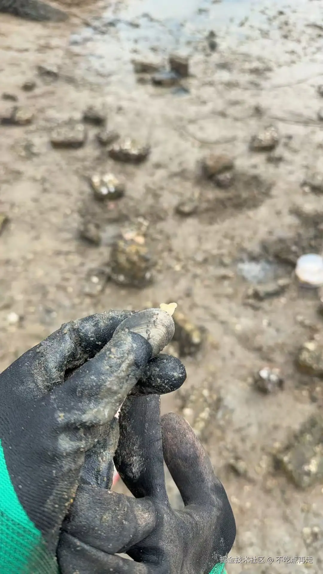 不吃点再走于2025-05-12 10:24发布的图片