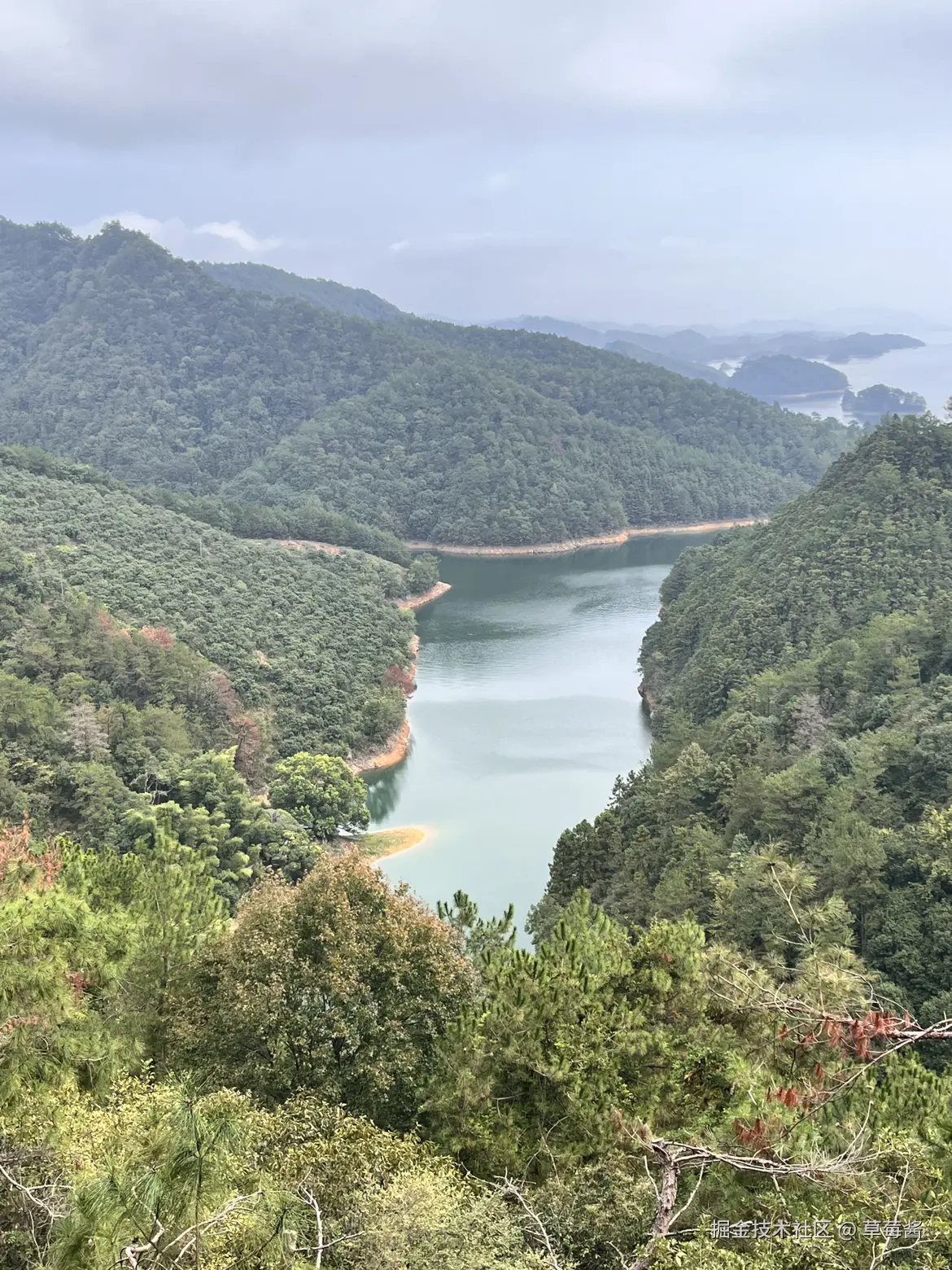 草莓酱于2024-10-18 12:25发布的图片