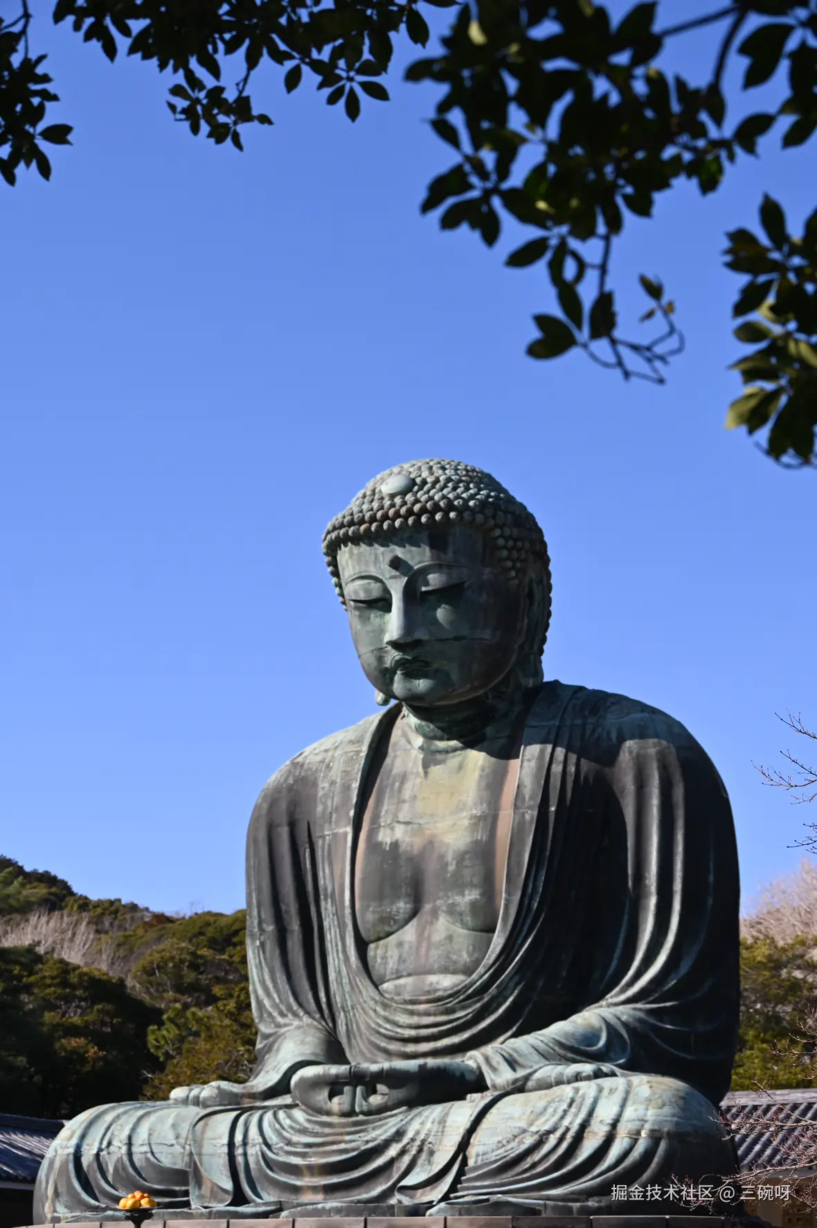 三碗呀于2025-03-31 05:46发布的图片