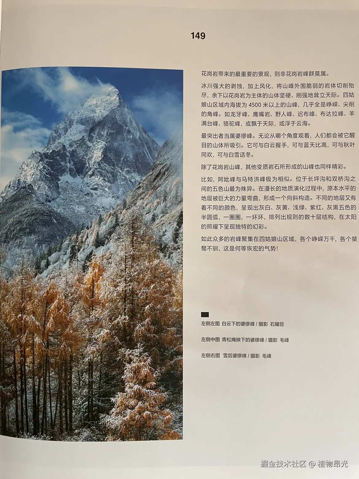 植物昂光于2026-03-15 11:13发布的图片