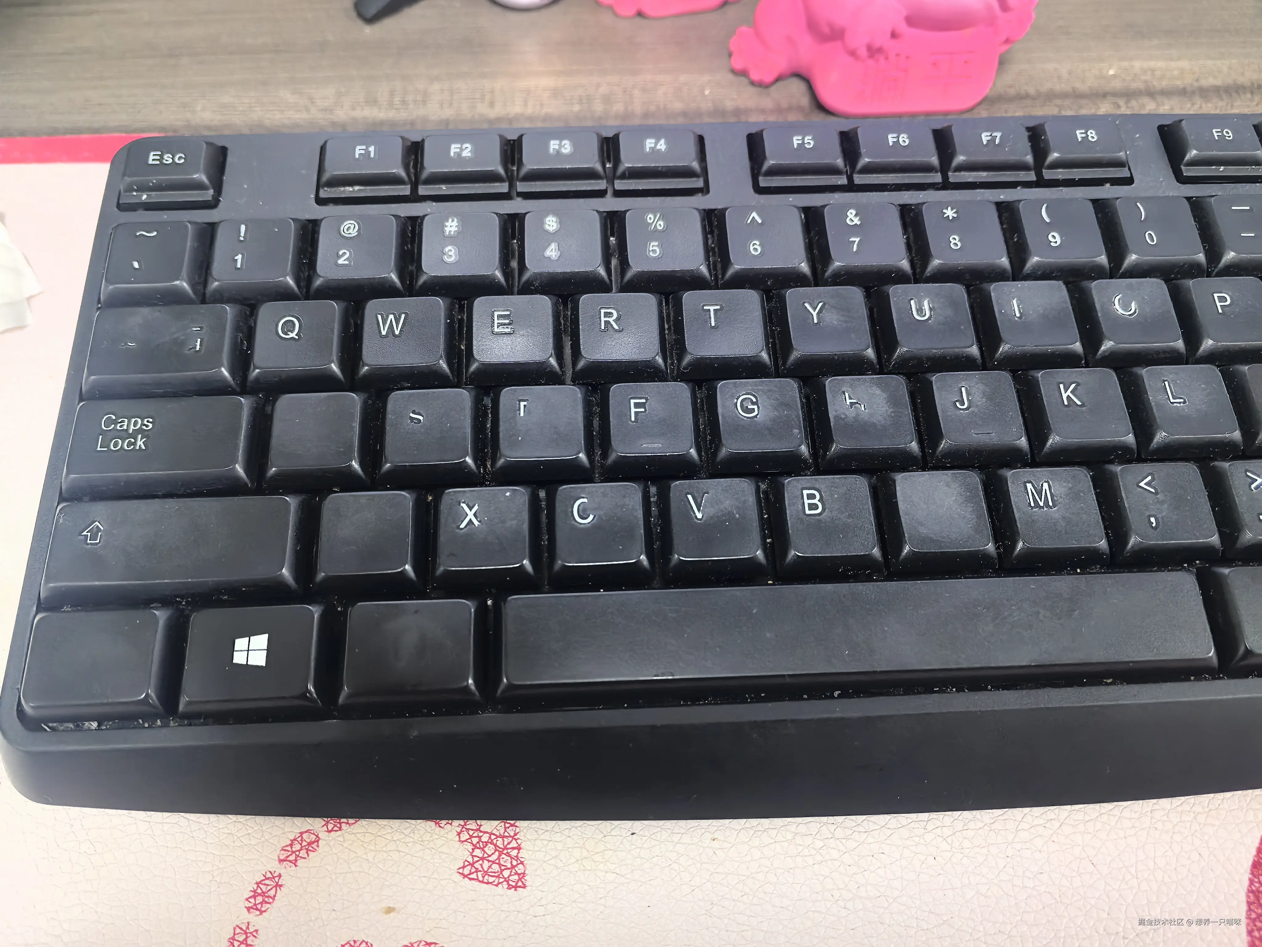 想养一只喵咪于2025-02-14 09:29发布的图片