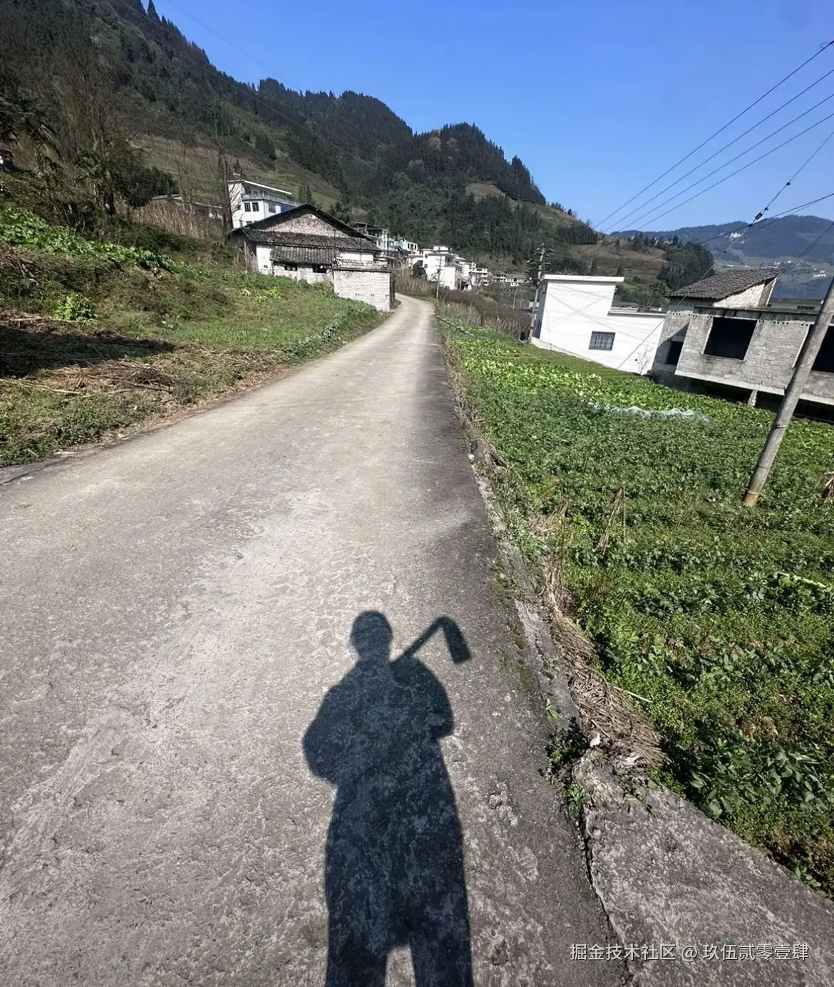 玖伍贰零壹肆于2025-03-10 10:15发布的图片