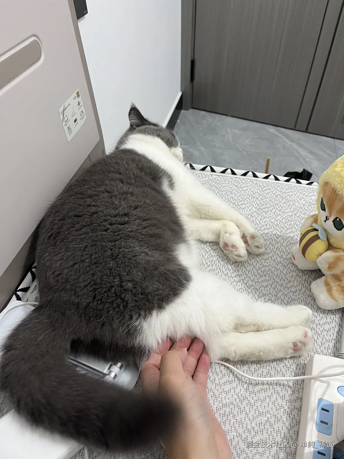 单纯_稀饭于2024-07-17 06:41发布的图片